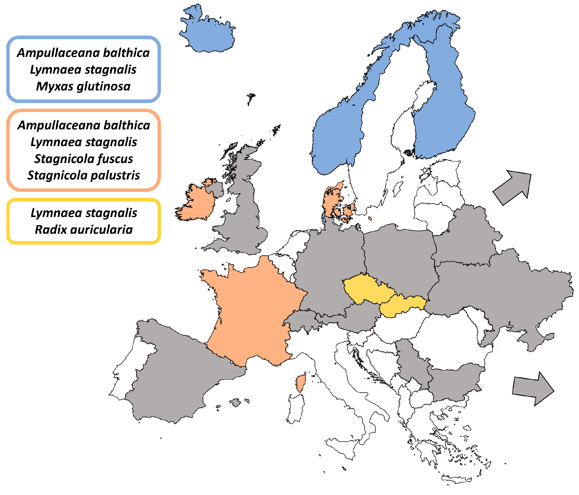 Fishing tackle  czech companies - European databank