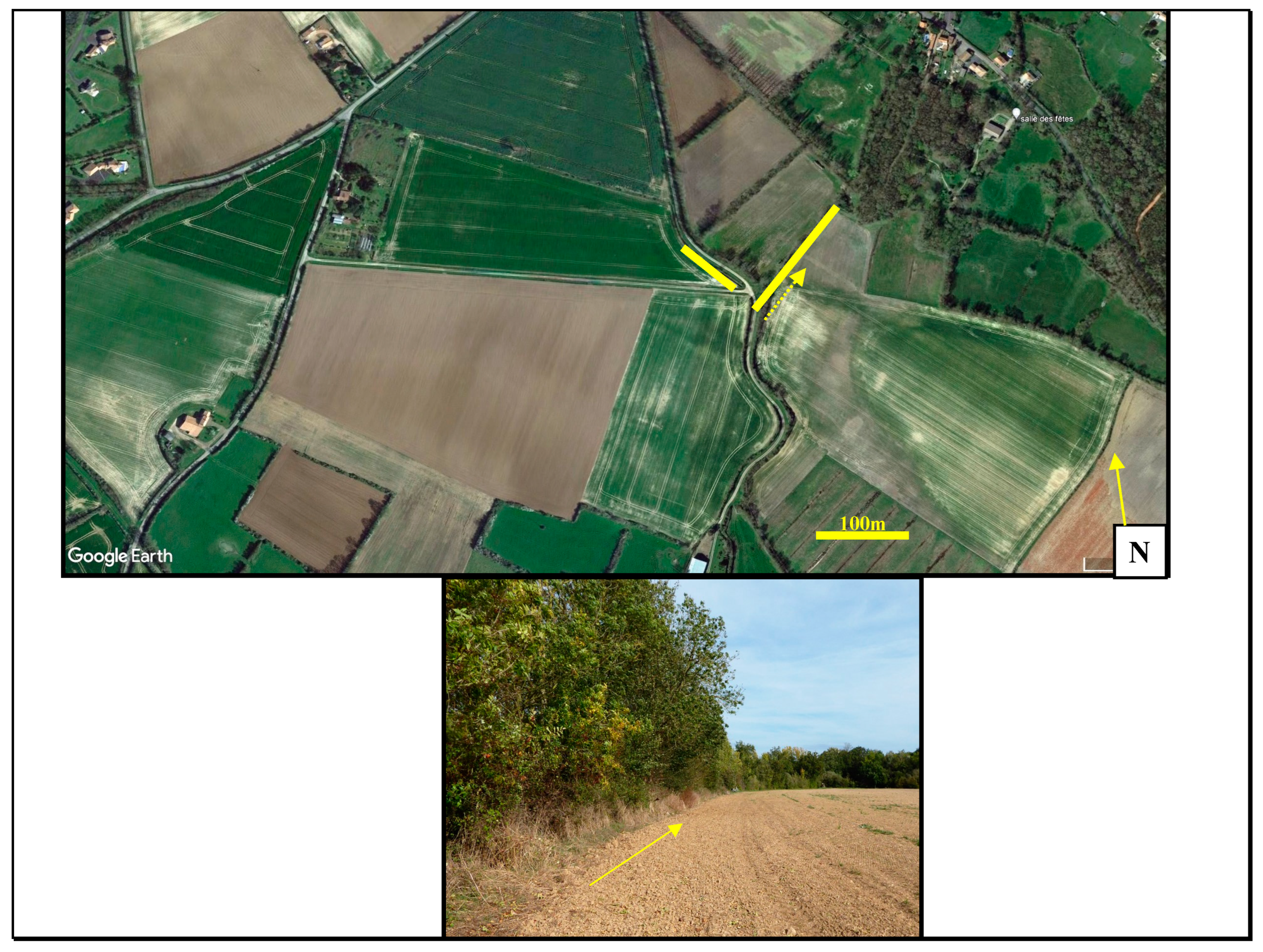 Diversity 16 00169 g001