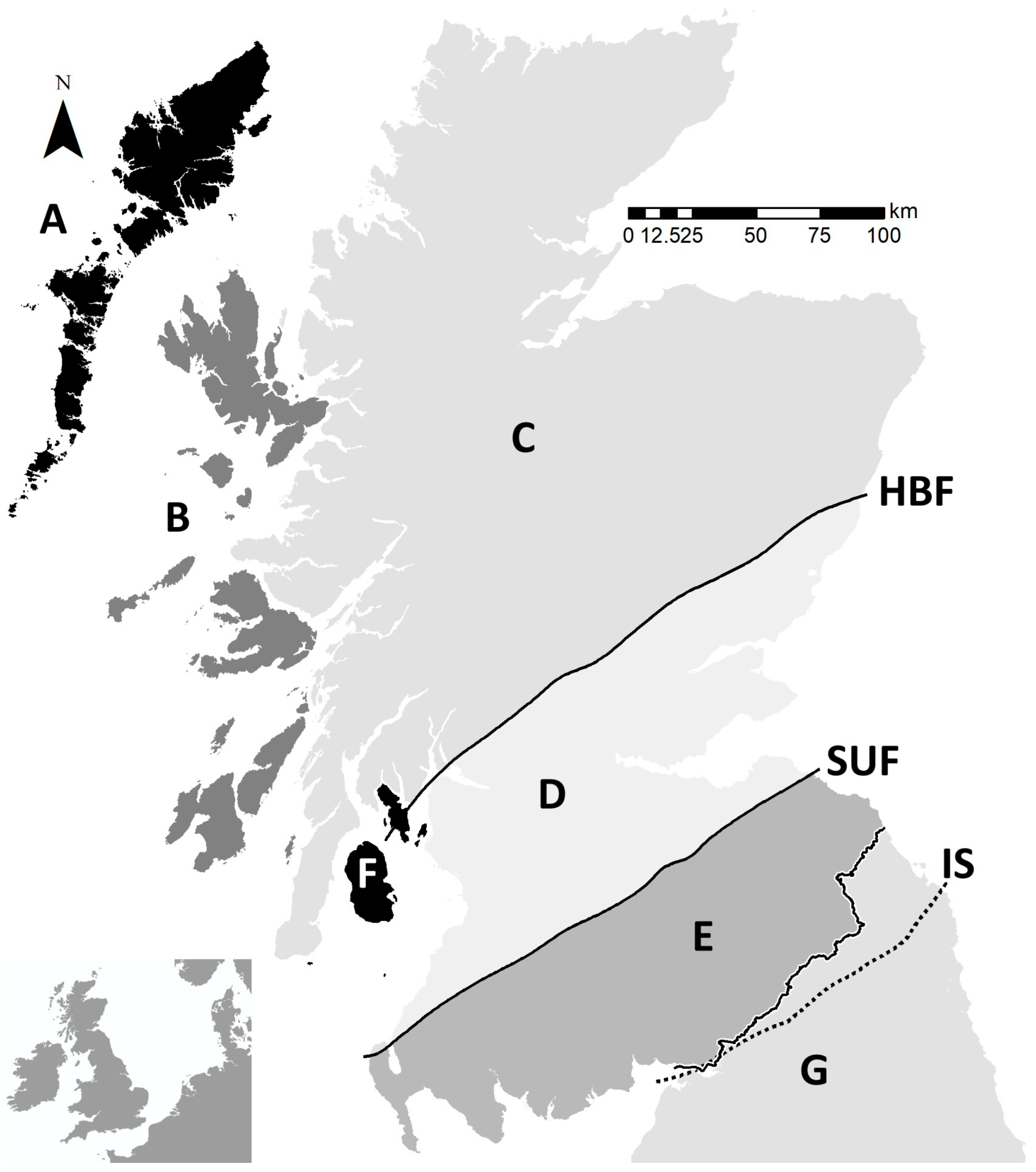 An alternative Big 5 – the White-Tailed Eagle – Wild Scot