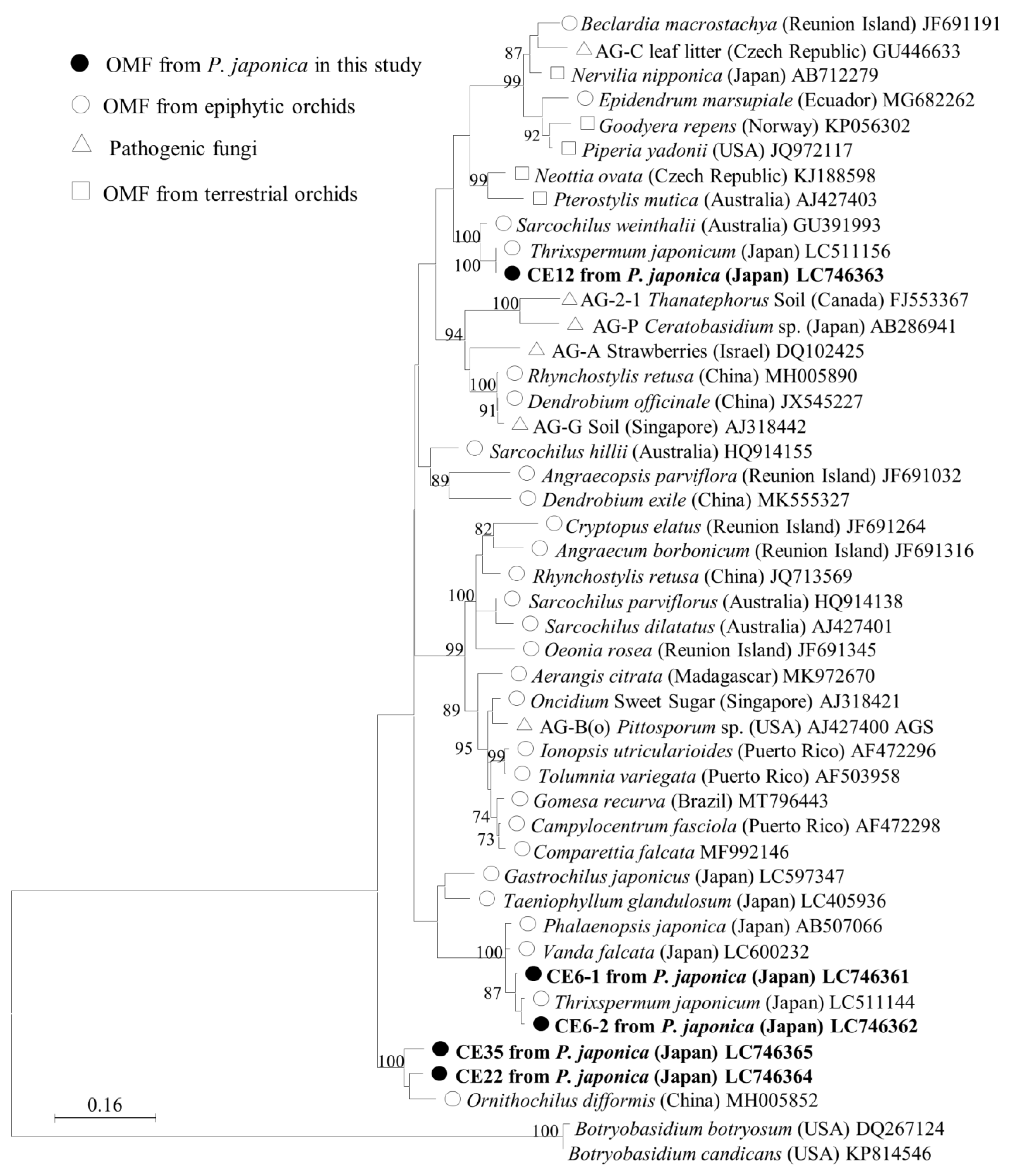 Diversity 16 00218 g003 Diversity 16 00218 g003