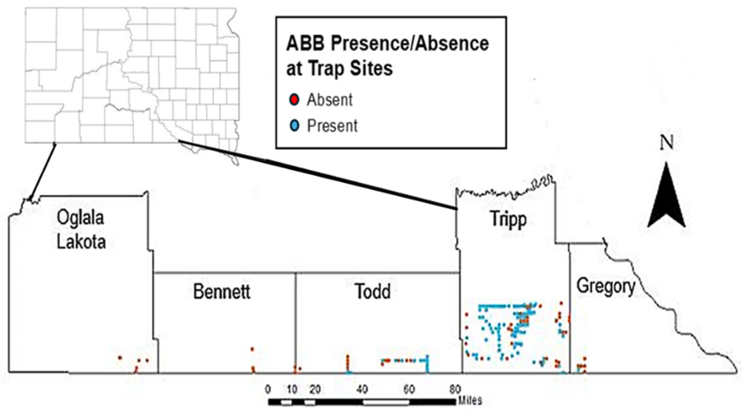 Diversity 16 00232 g001
