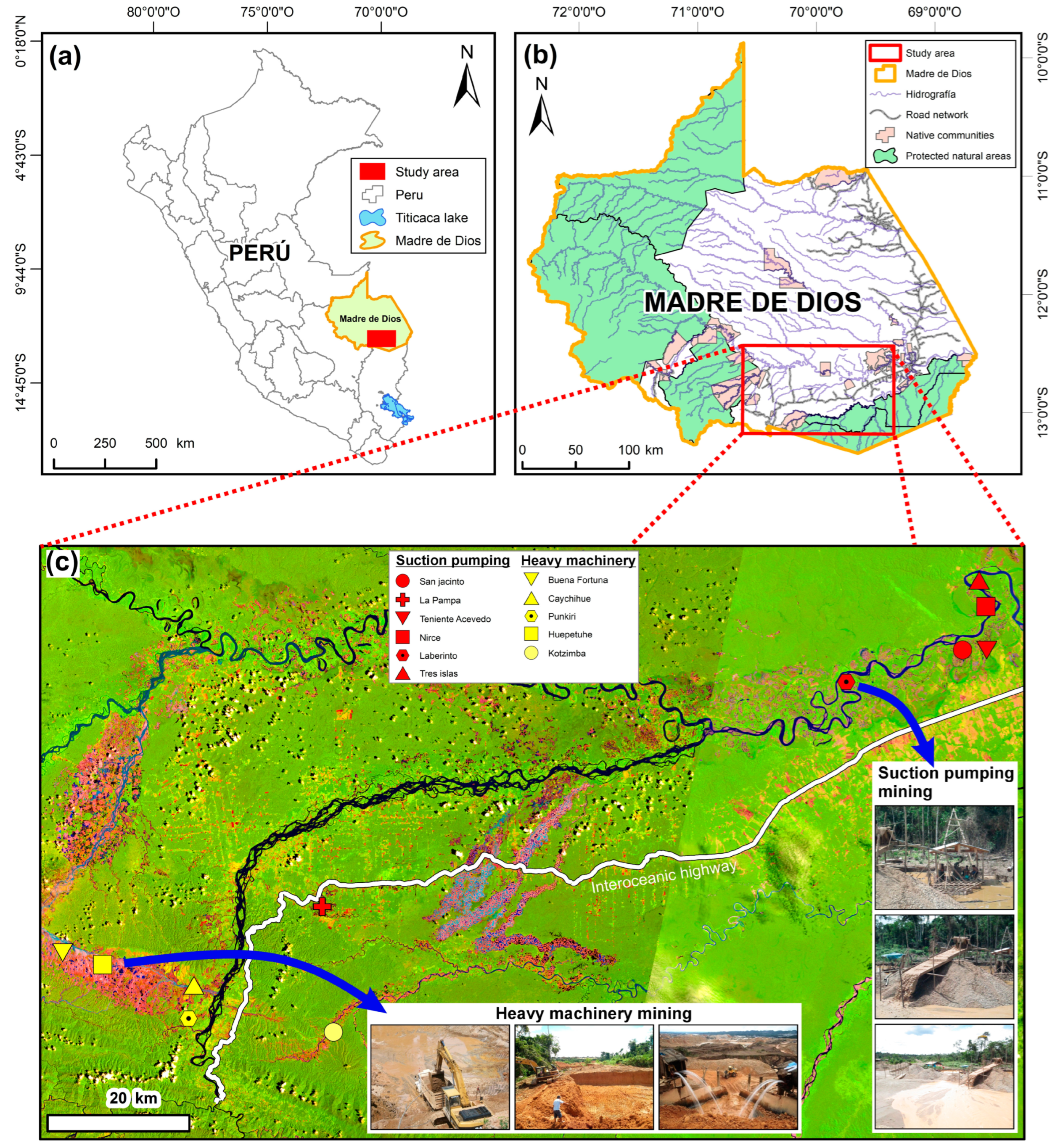 Diversity 16 00233 g001