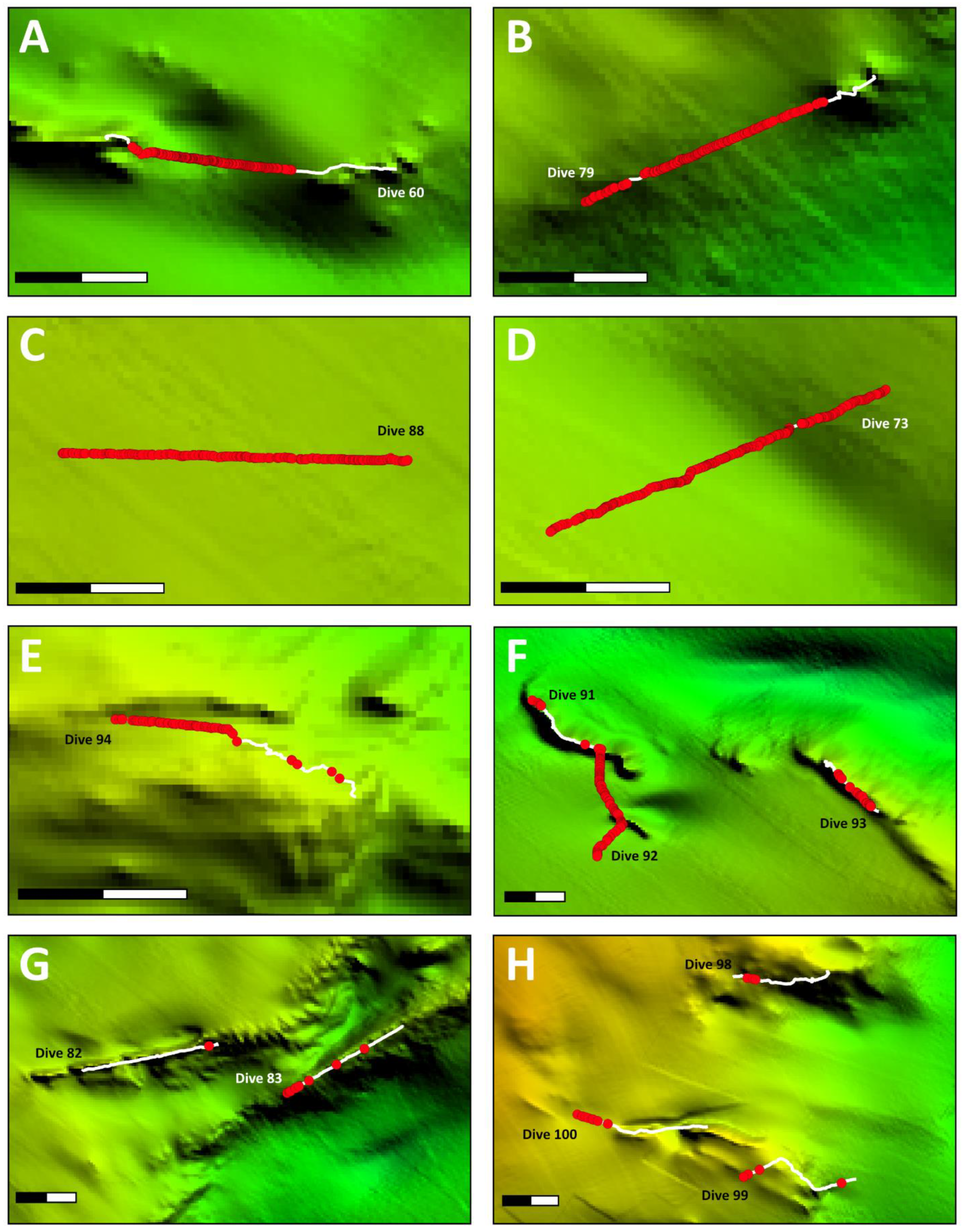 Diversity 16 00238 g006
