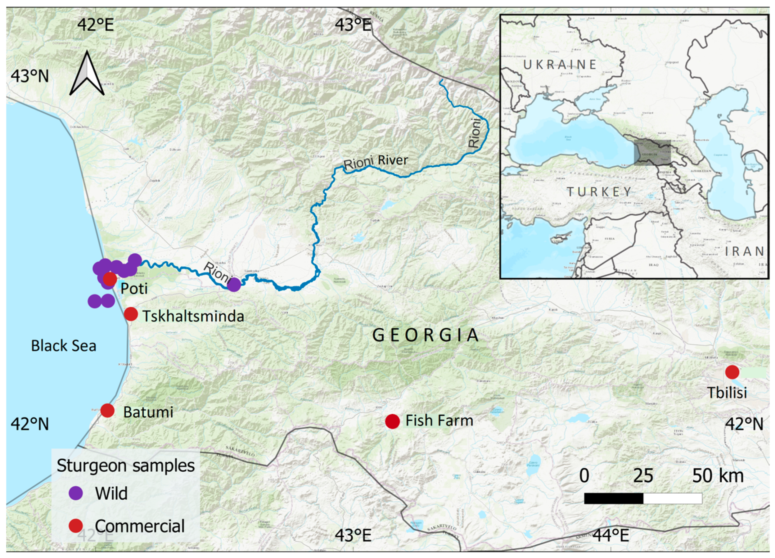 Diversity 16 00274 g001