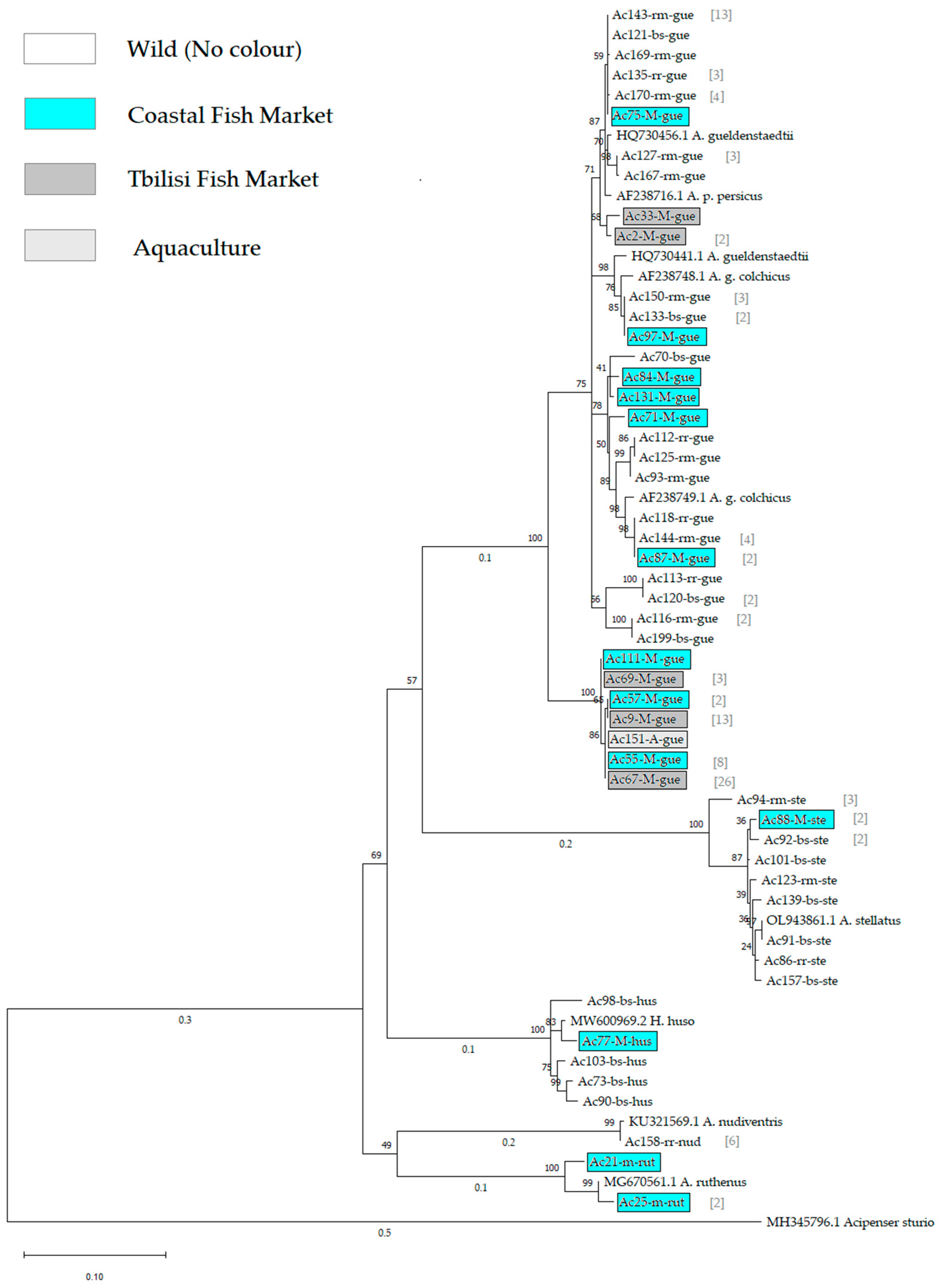 Diversity 16 00274 g002