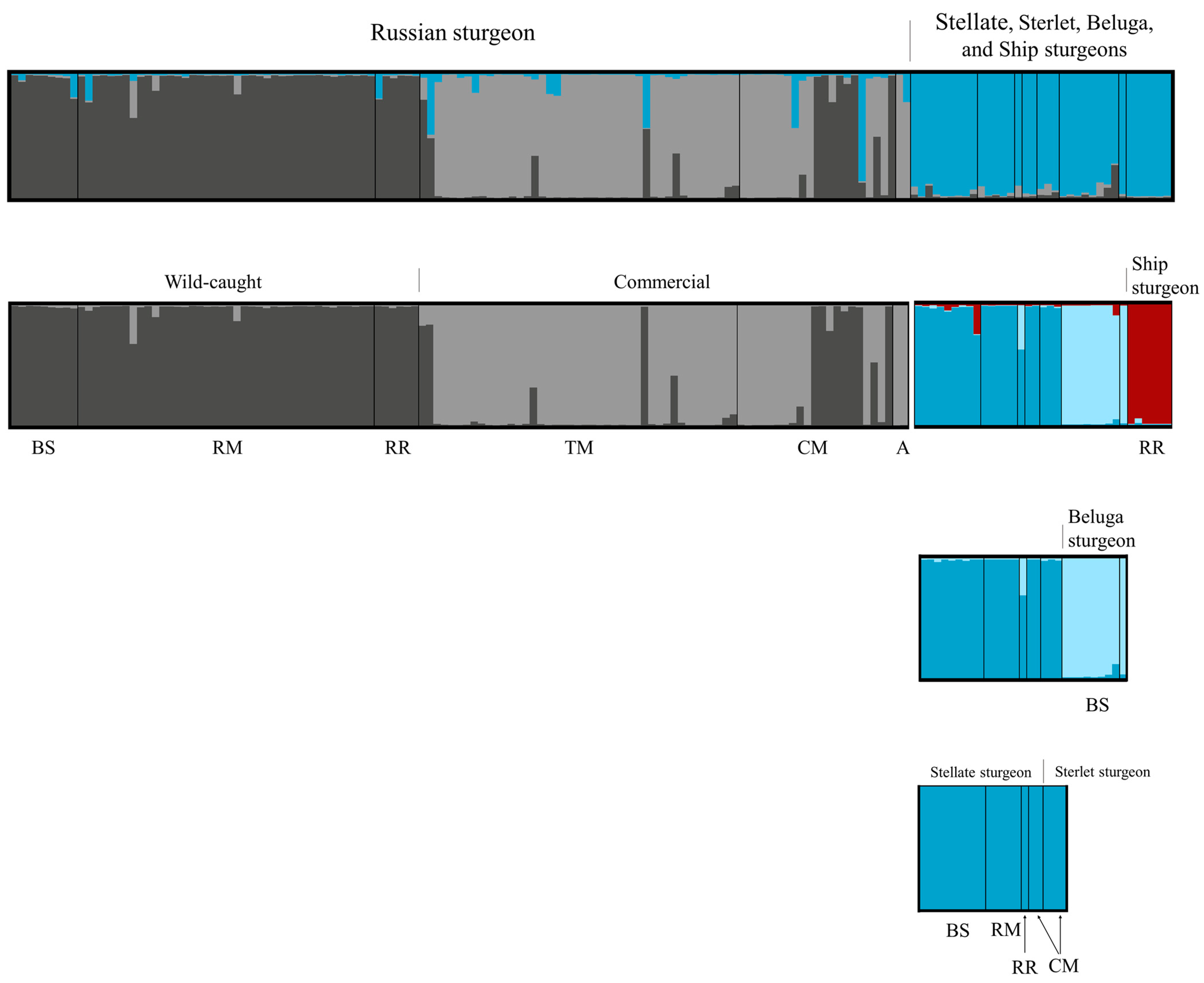 Diversity 16 00274 g004