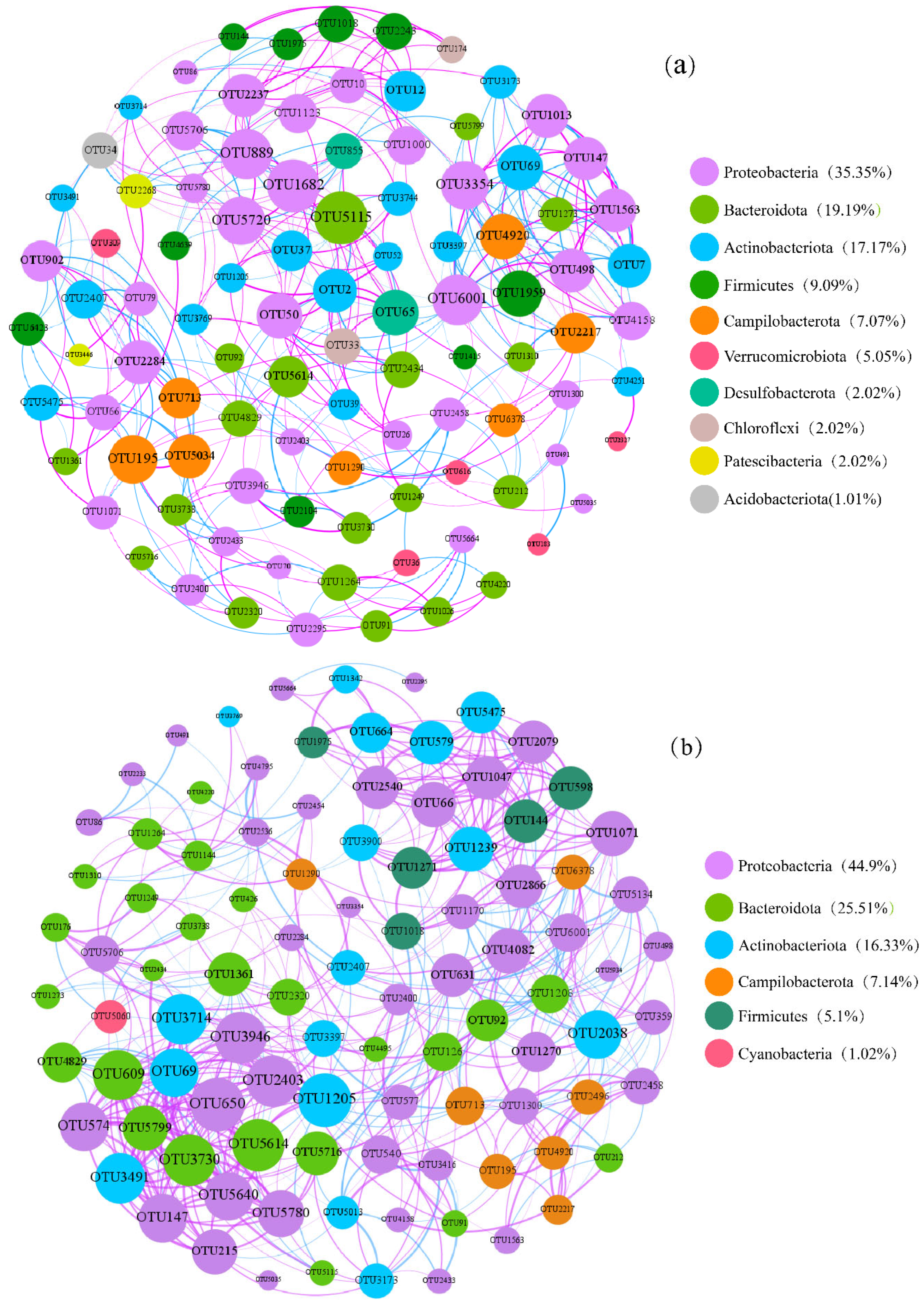 Diversity 16 00311 g008