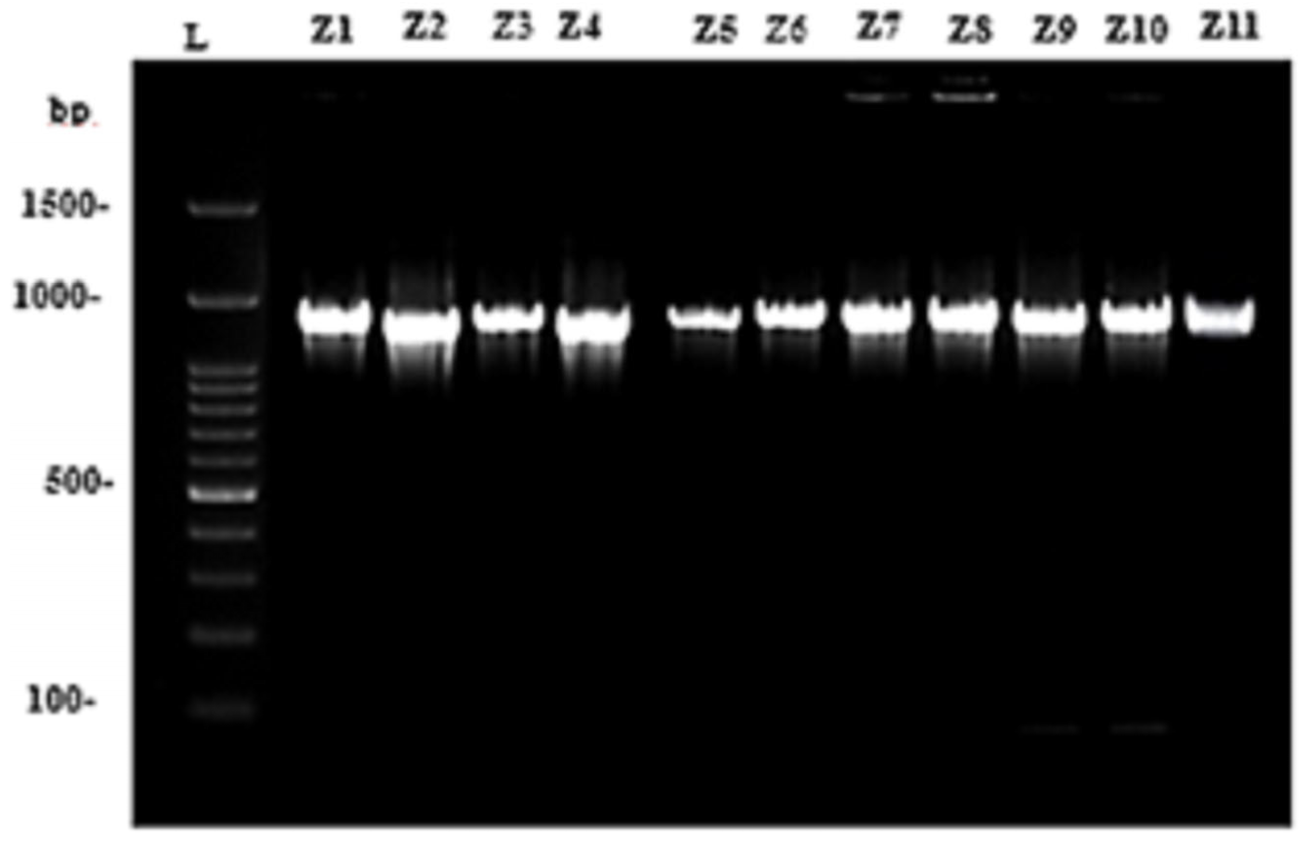 Diversity 16 00313 g006