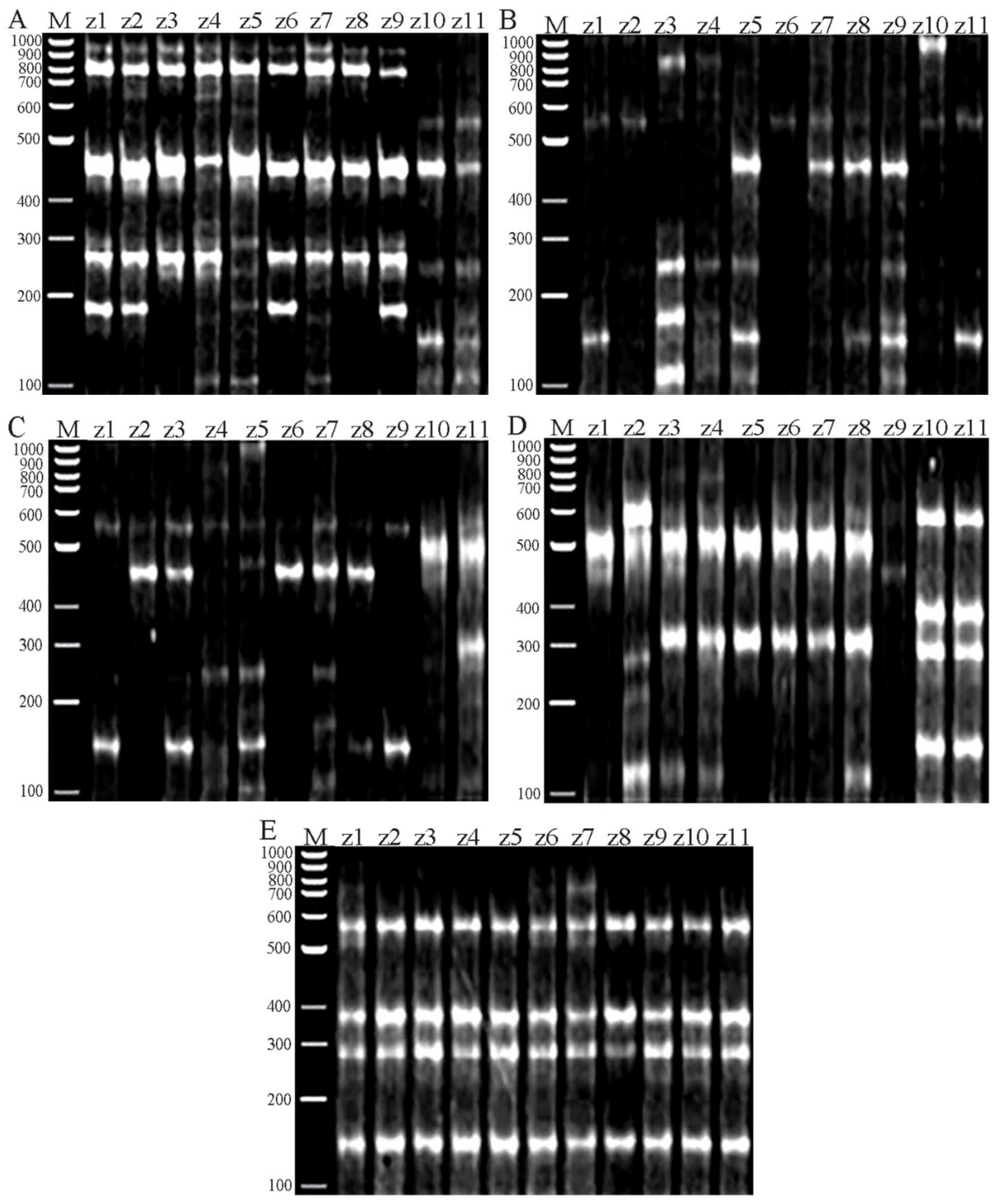 Diversity 16 00313 g007