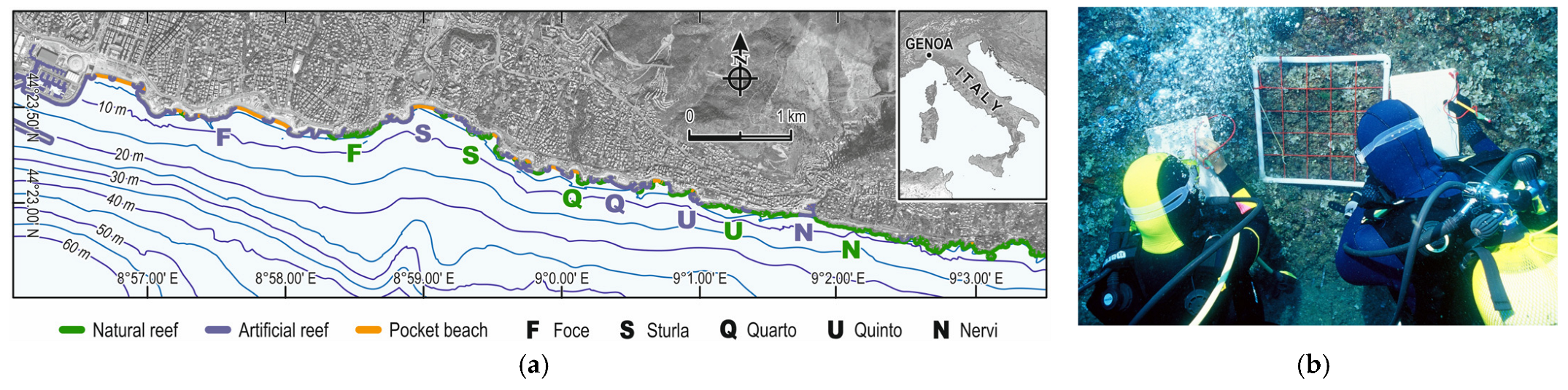Diversity 16 00316 g001