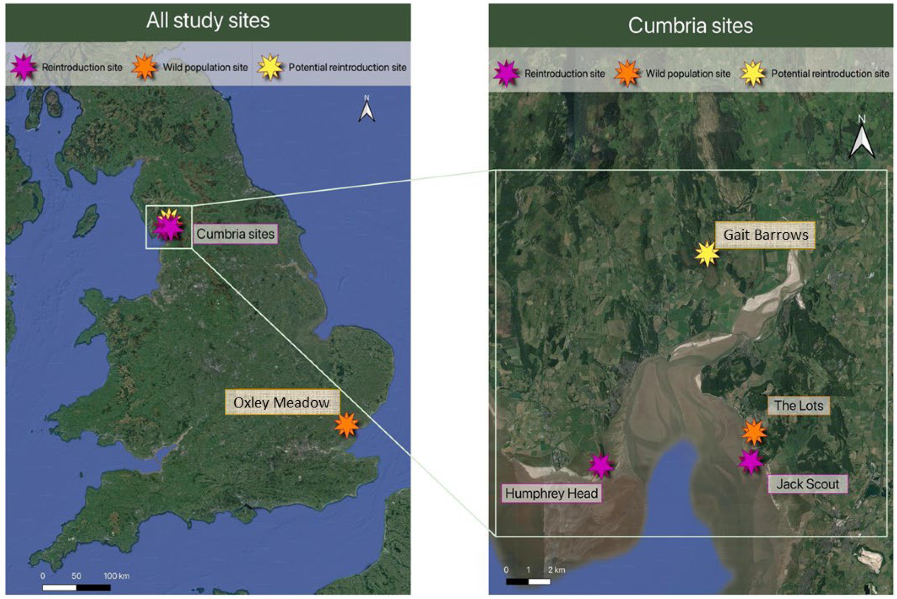 Diversity 16 00327 g003