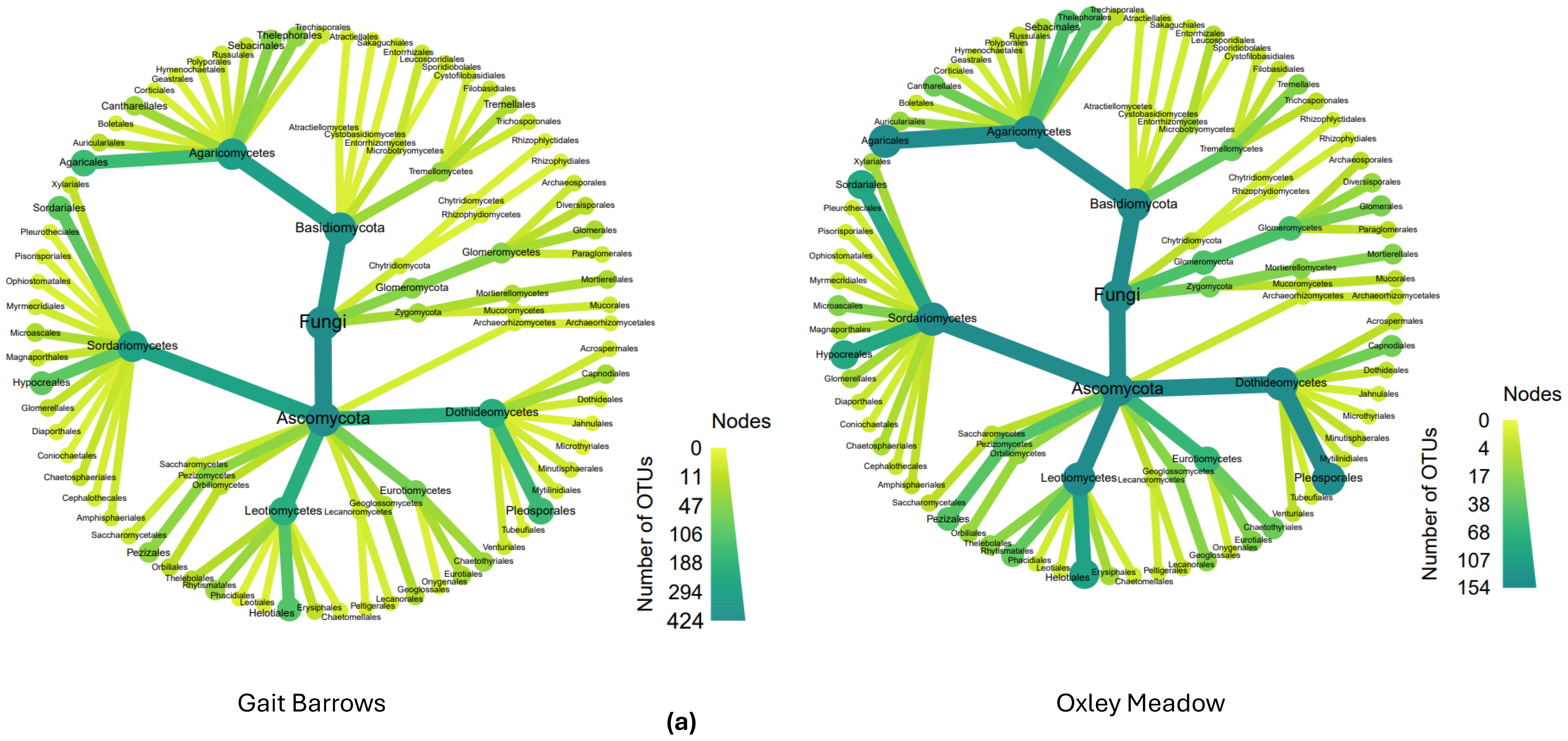 Diversity 16 00327 g006a