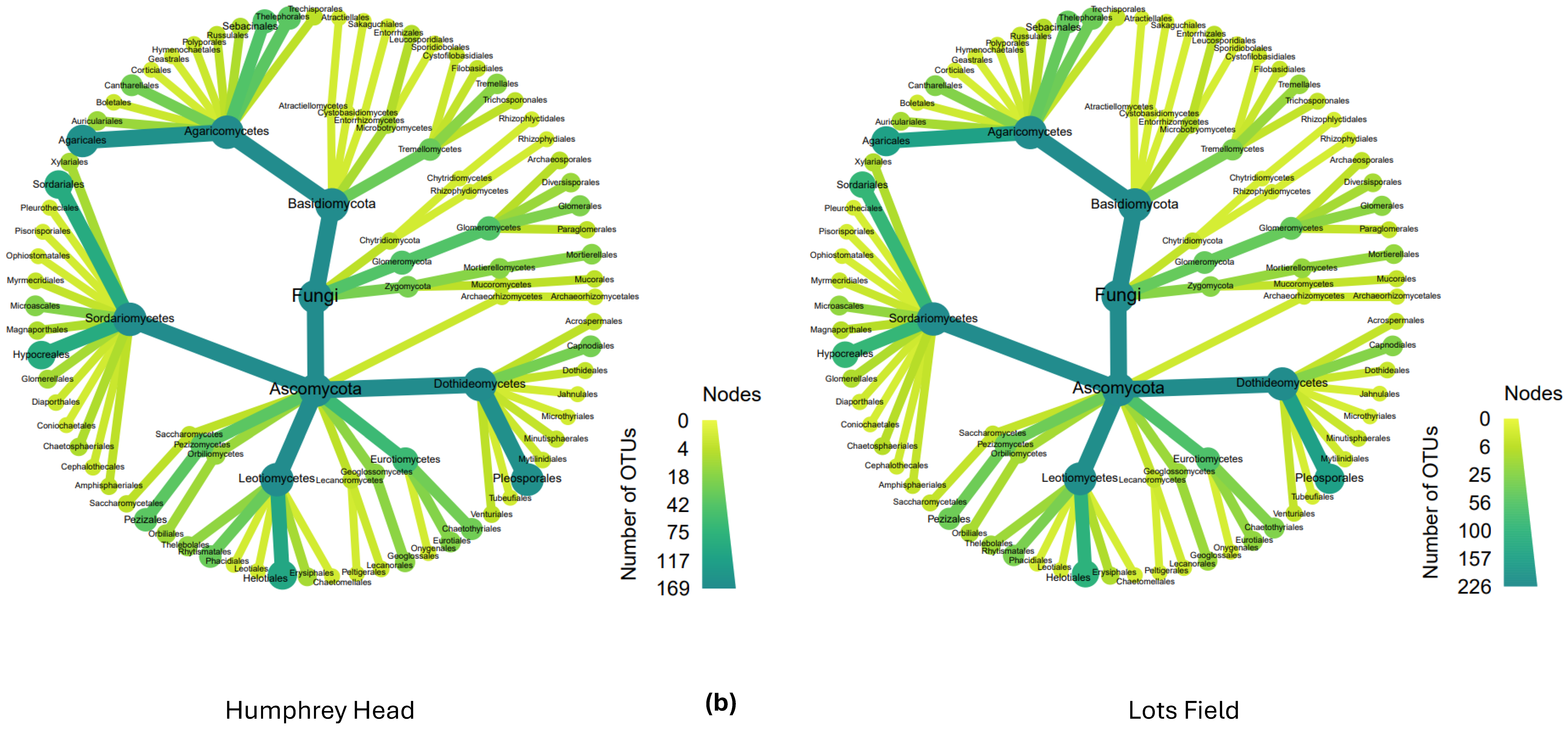 Diversity 16 00327 g006b