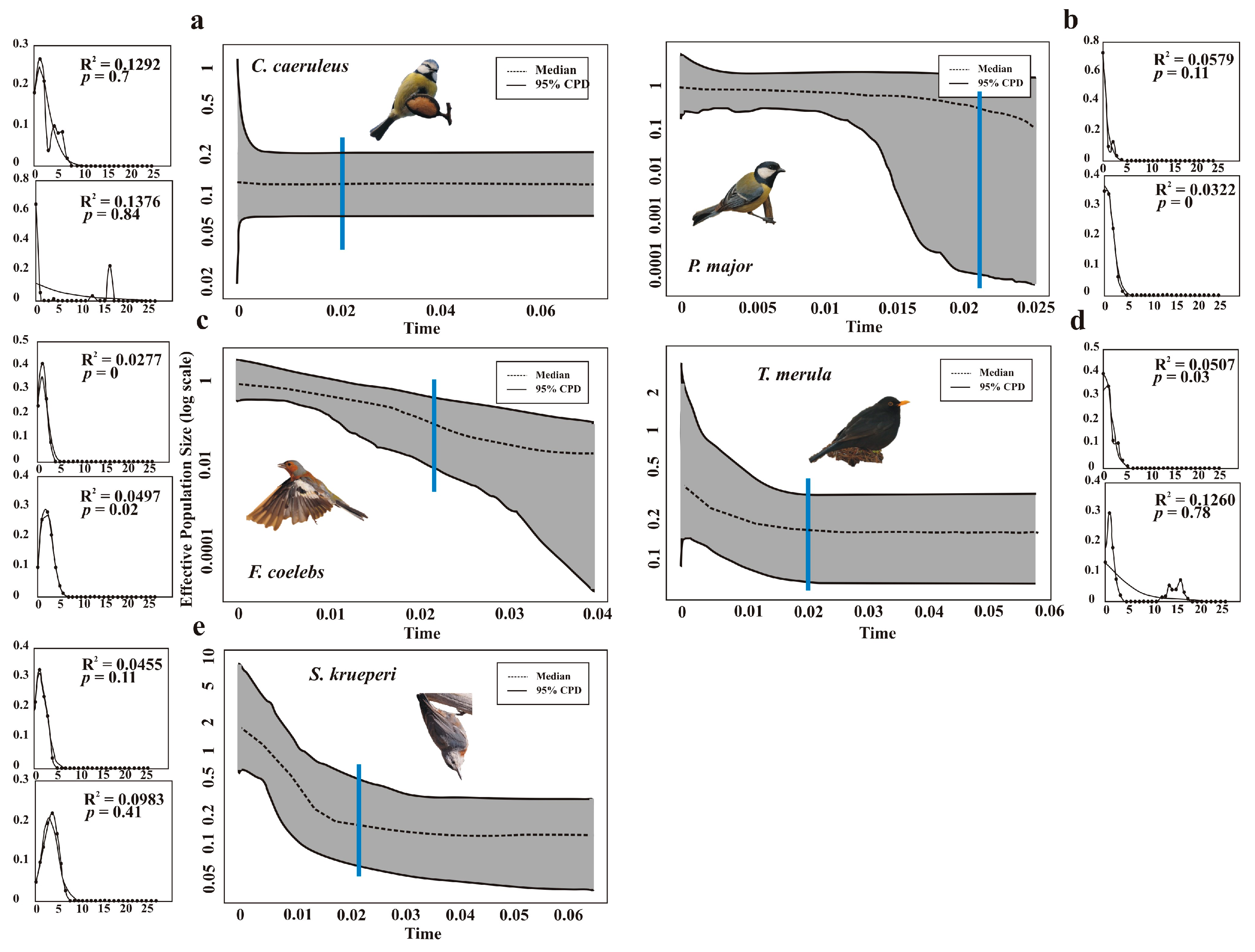 Diversity 16 00339 g005
