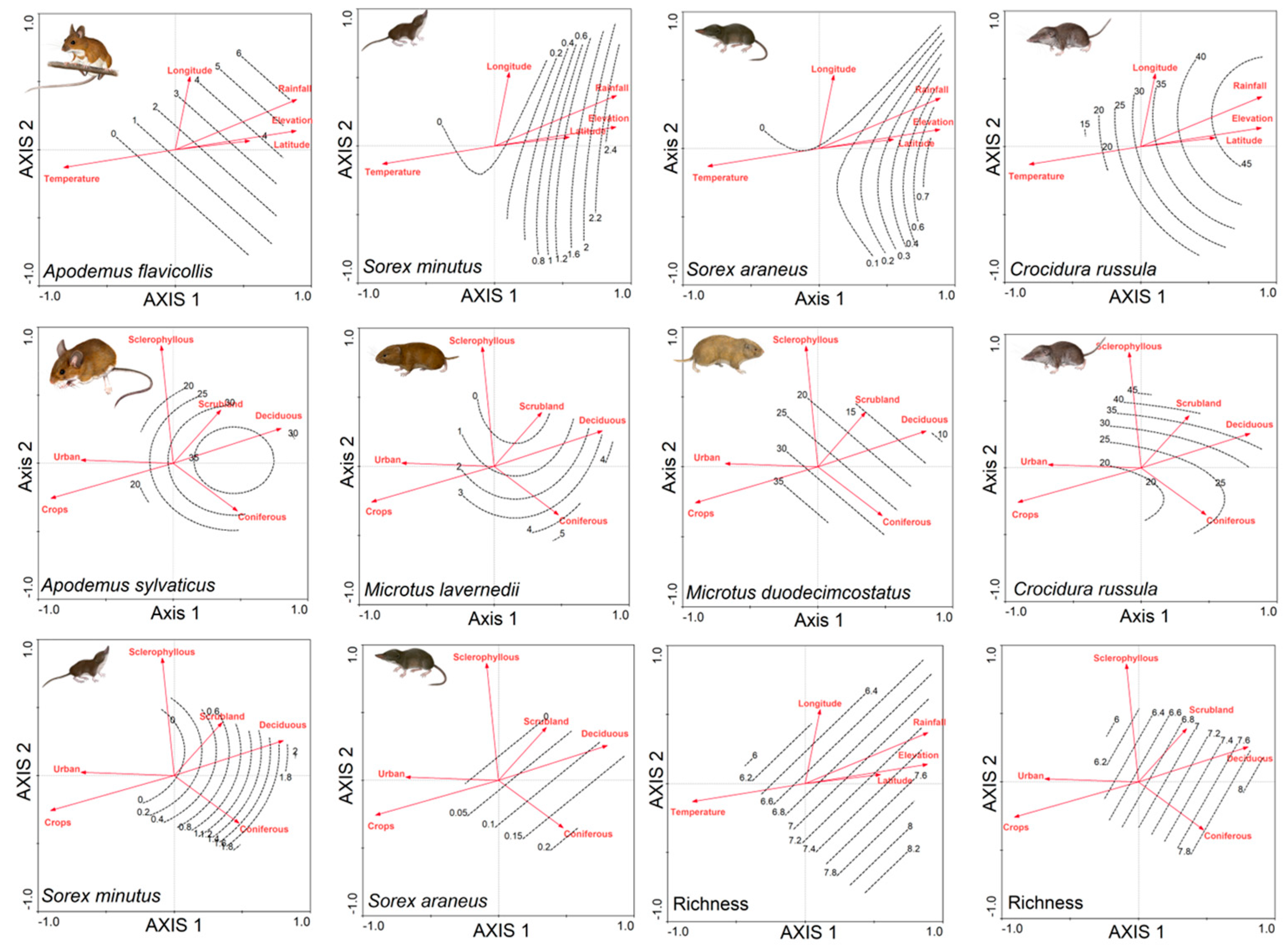 Diversity 16 00343 g005