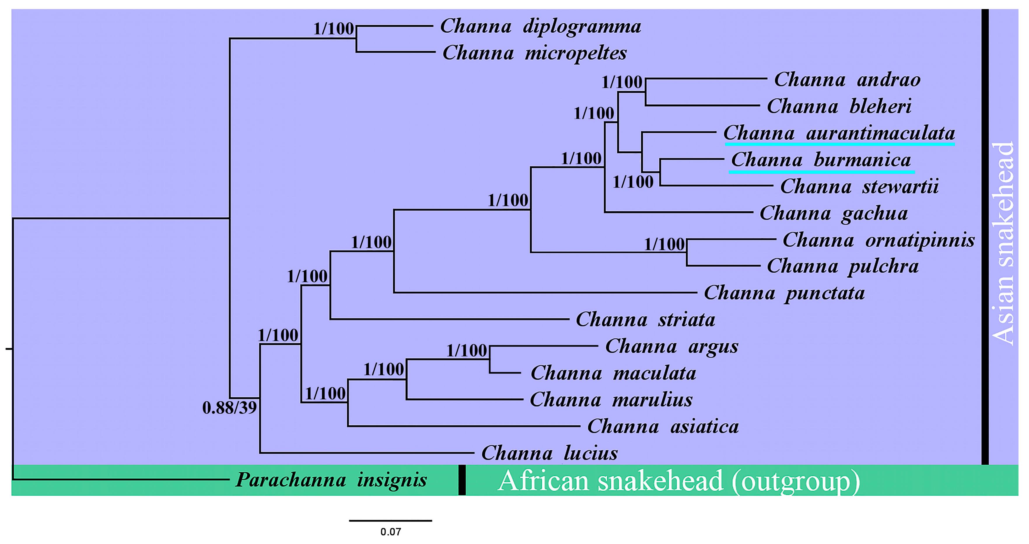 Diversity 16 00346 g007