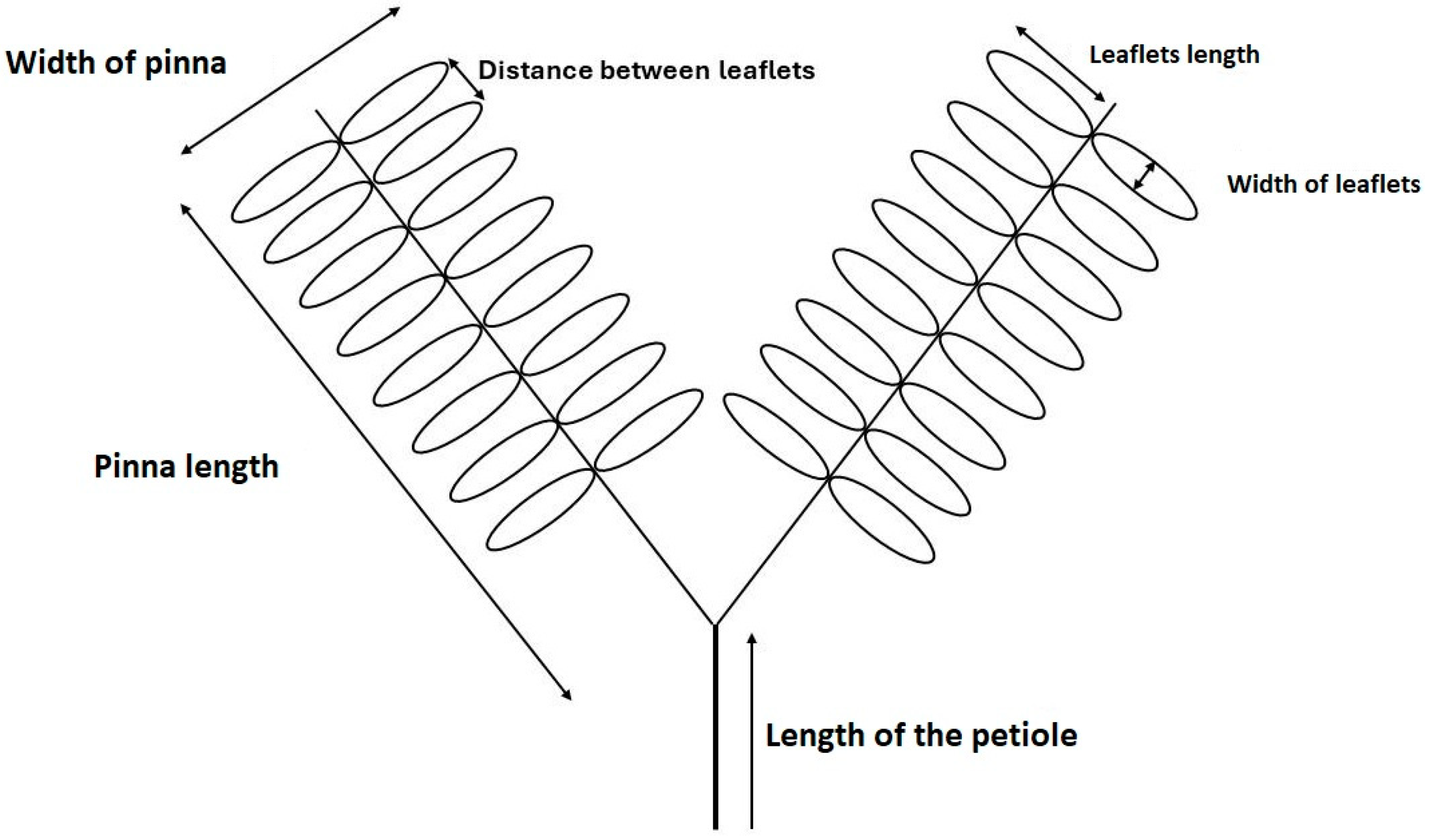 Diversity 16 00351 g002