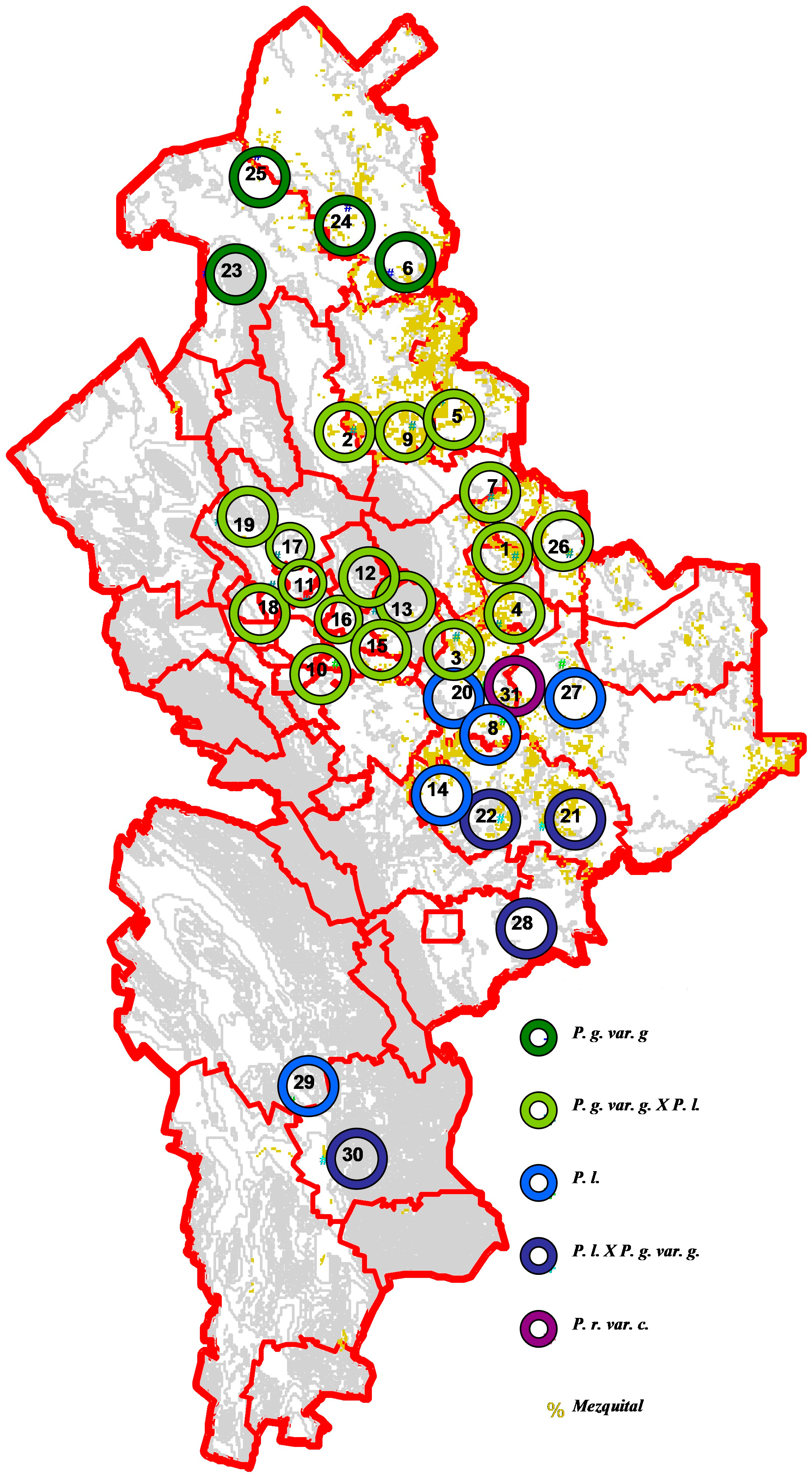 Diversity 16 00351 g012