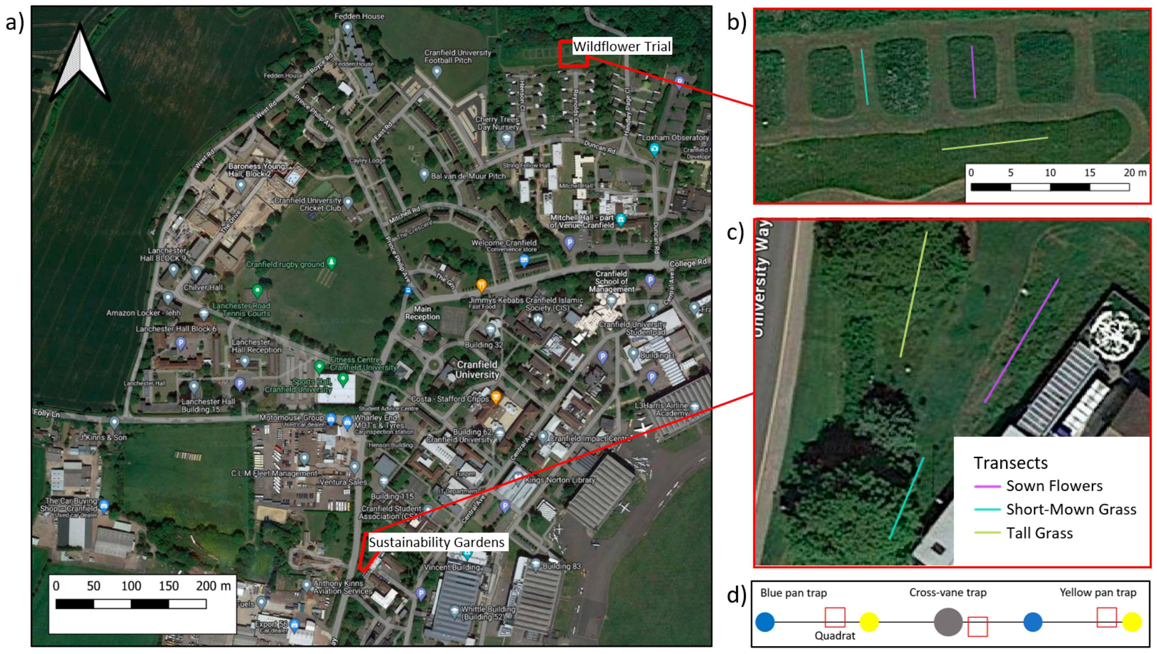 Diversity 16 00354 g001