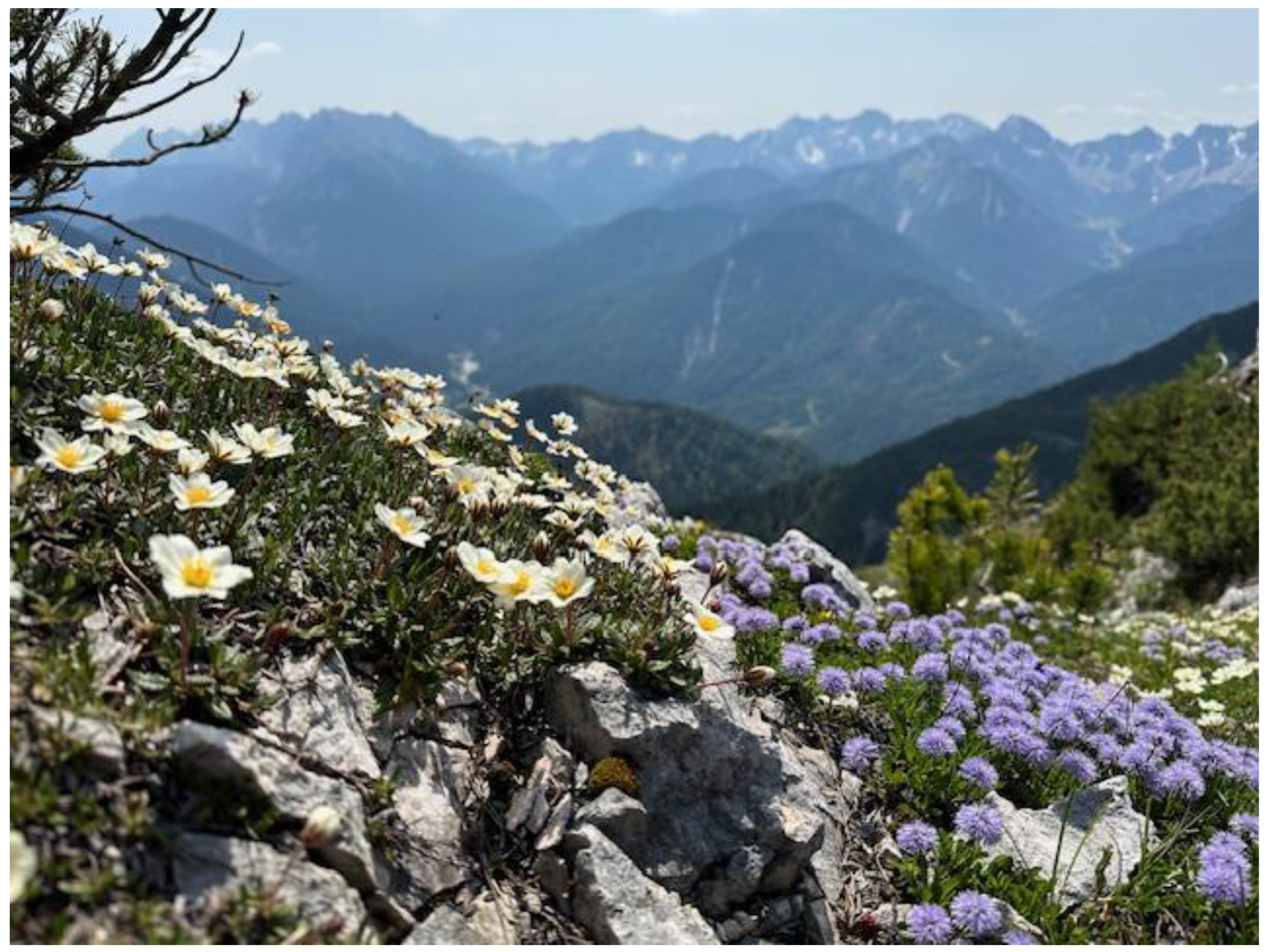 Diversity 16 00366 g005