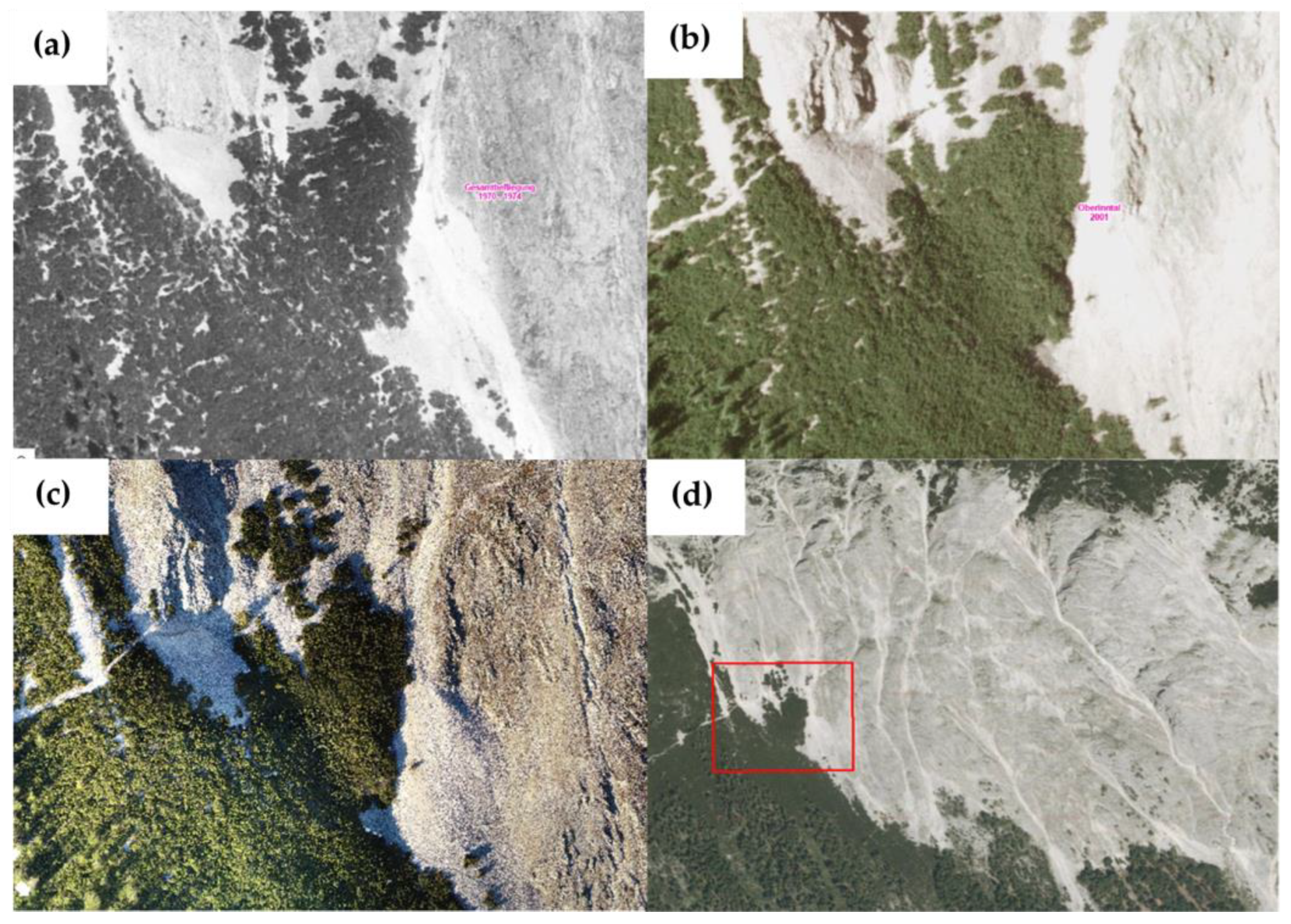 Diversity 16 00366 g008