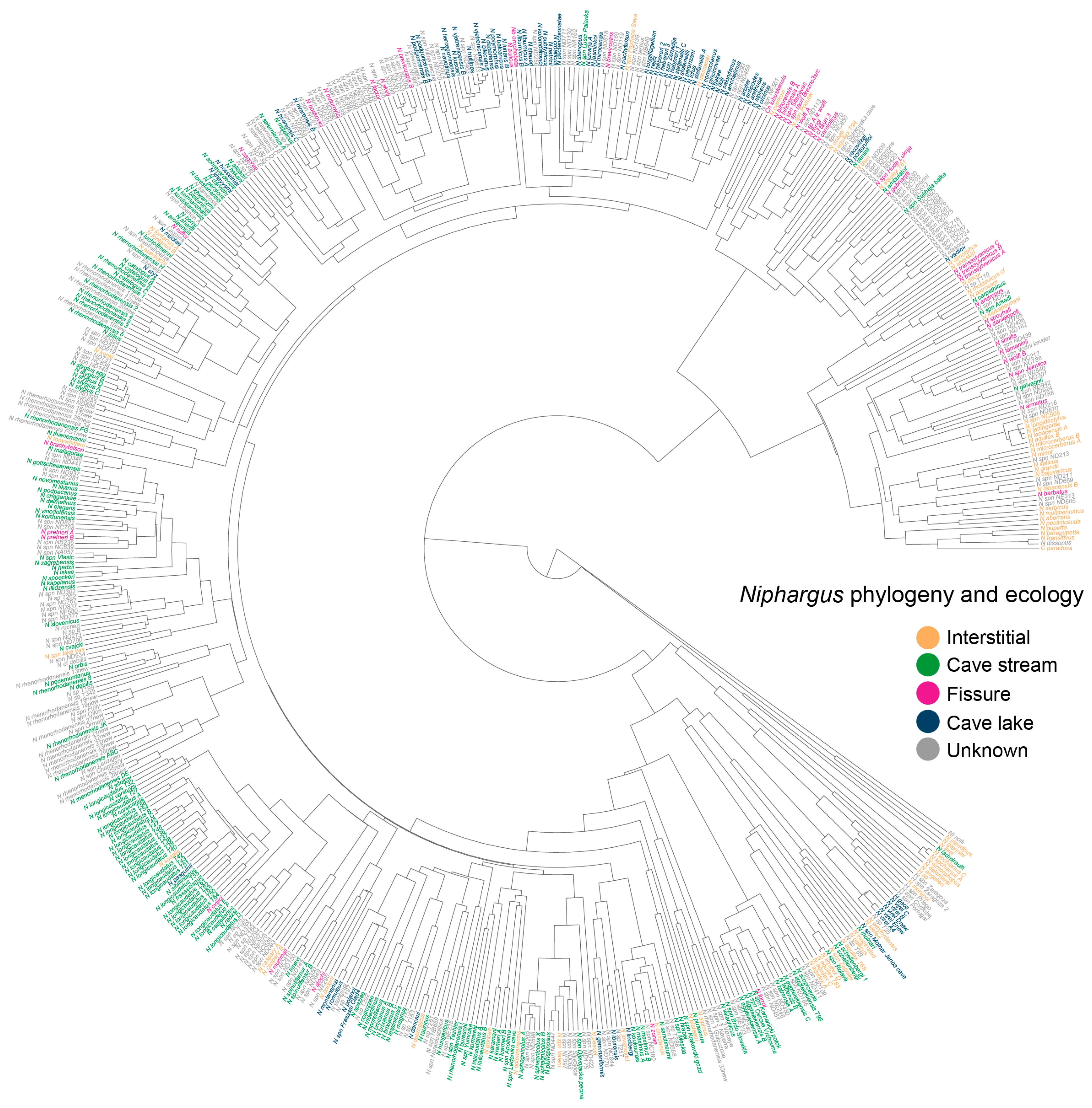 Diversity 16 00375 g002 Diversity 16 00375 g002