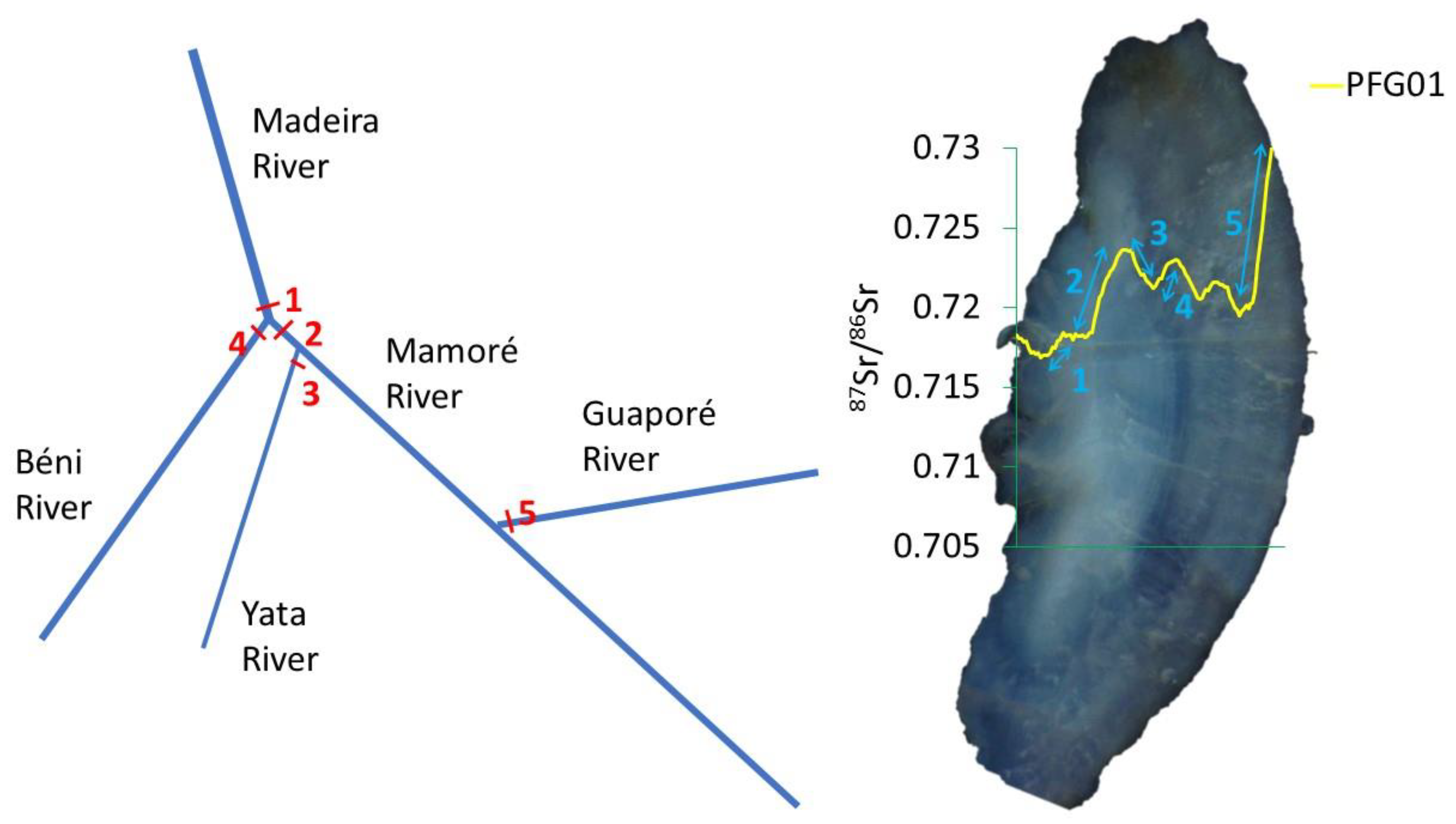 Diversity 16 00378 g002