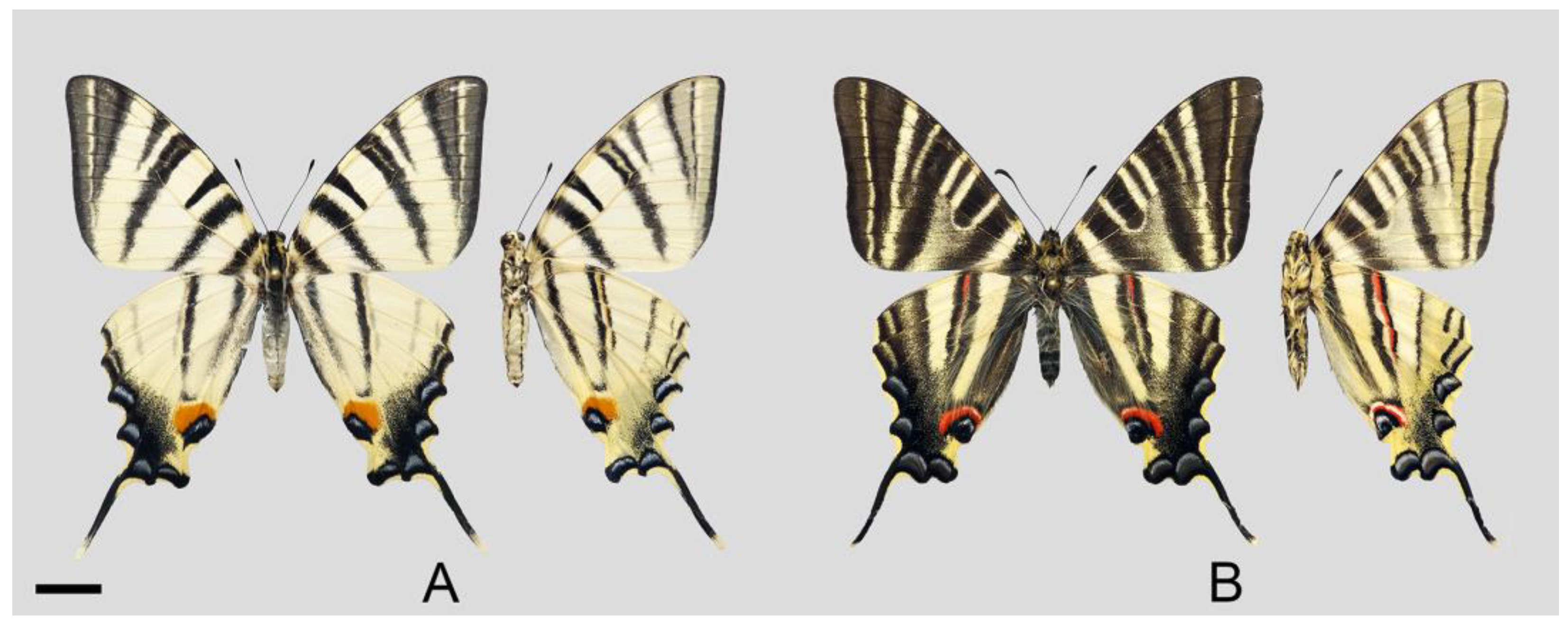 Diversity 16 00392 g002