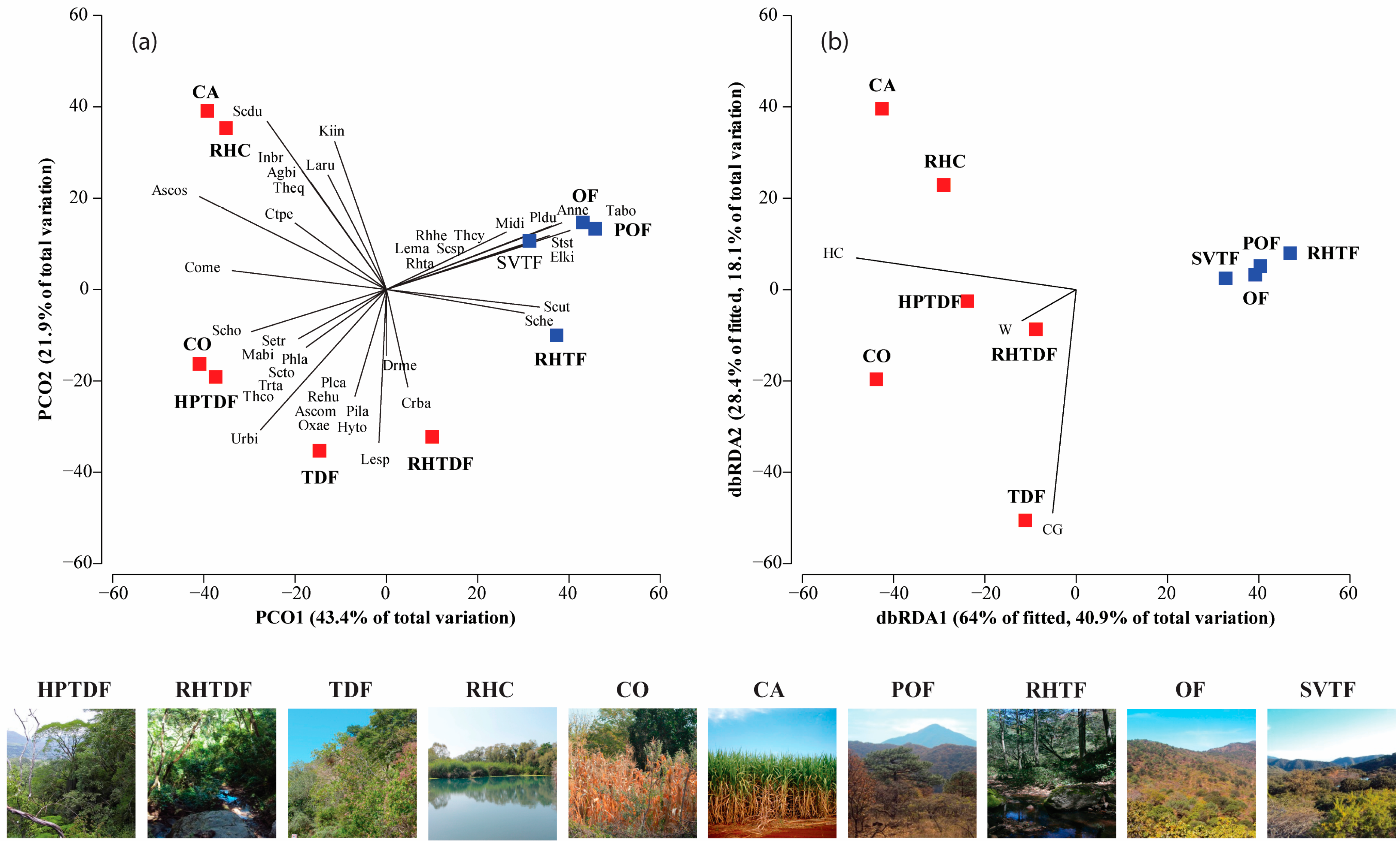 Diversity 16 00394 g004