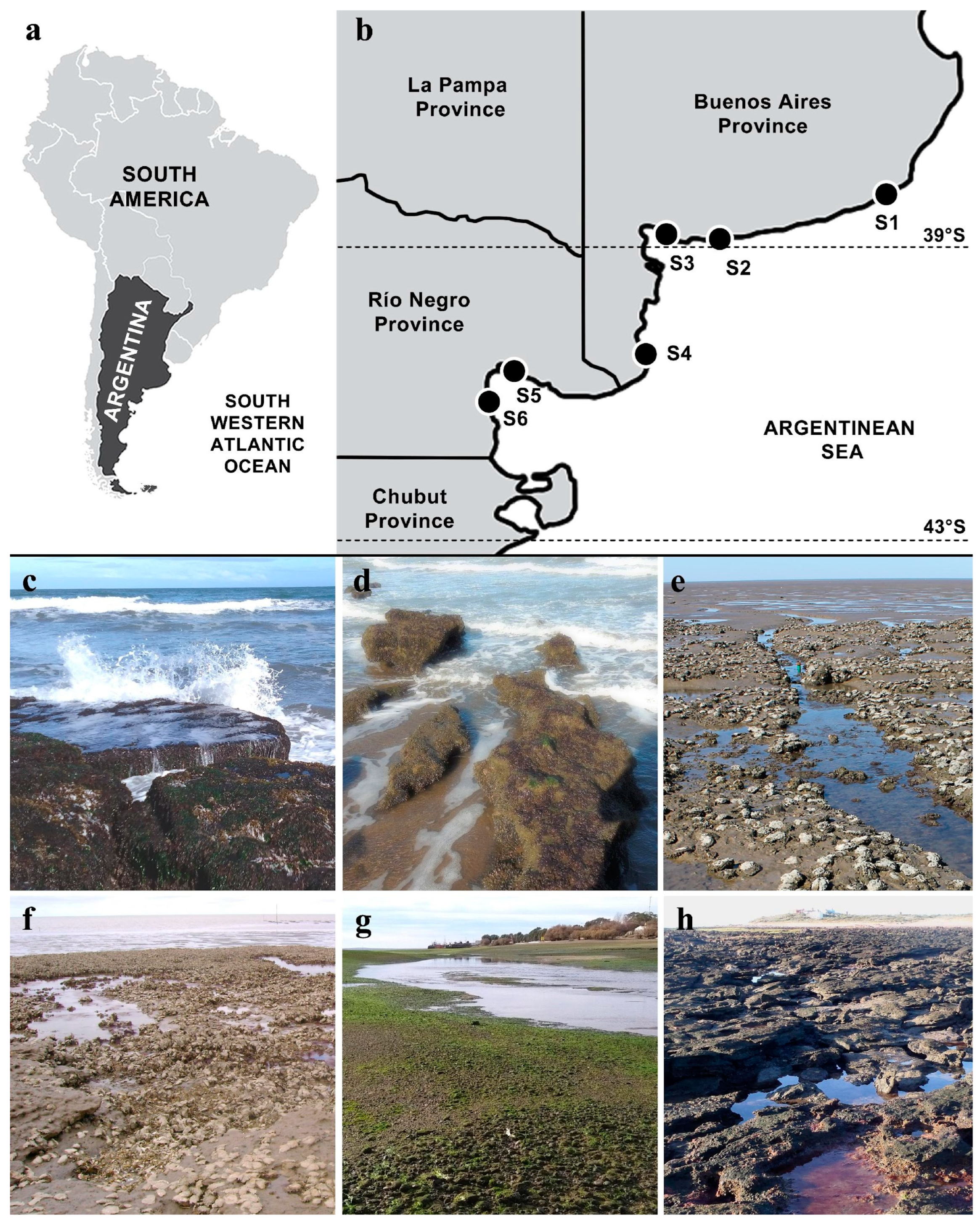 Diversity 16 00399 g001