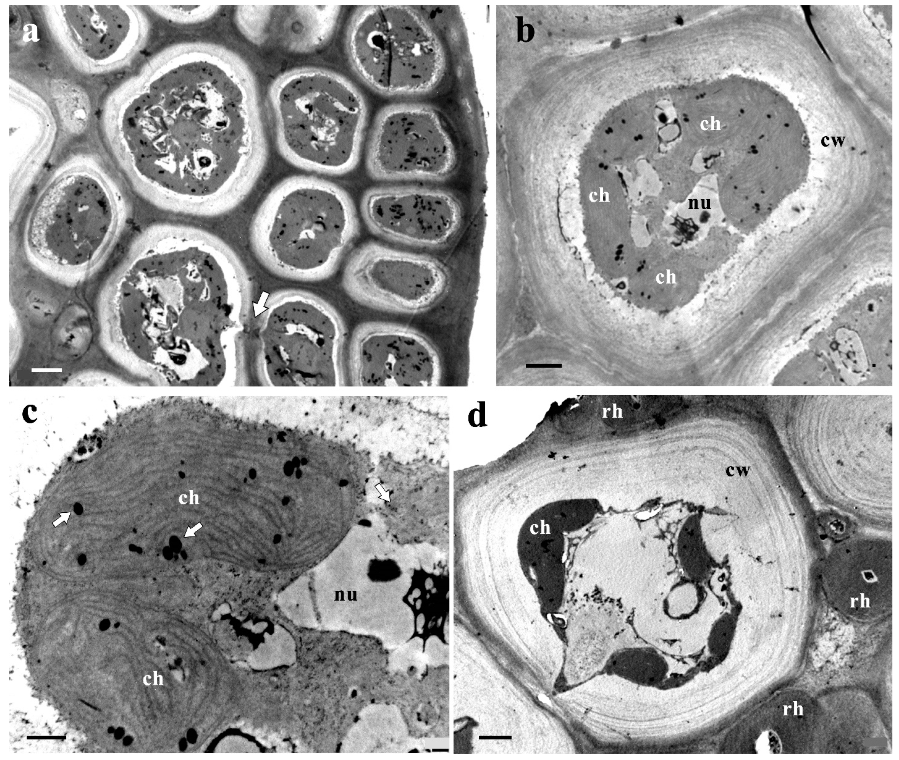 Diversity 16 00399 g010