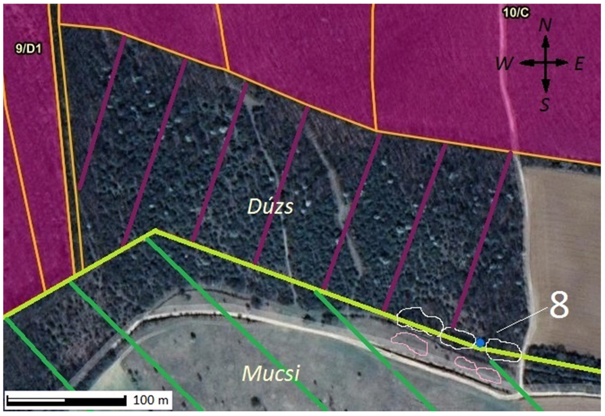 Diversity 16 00401 g006