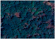 Diversity 16 00405 i001