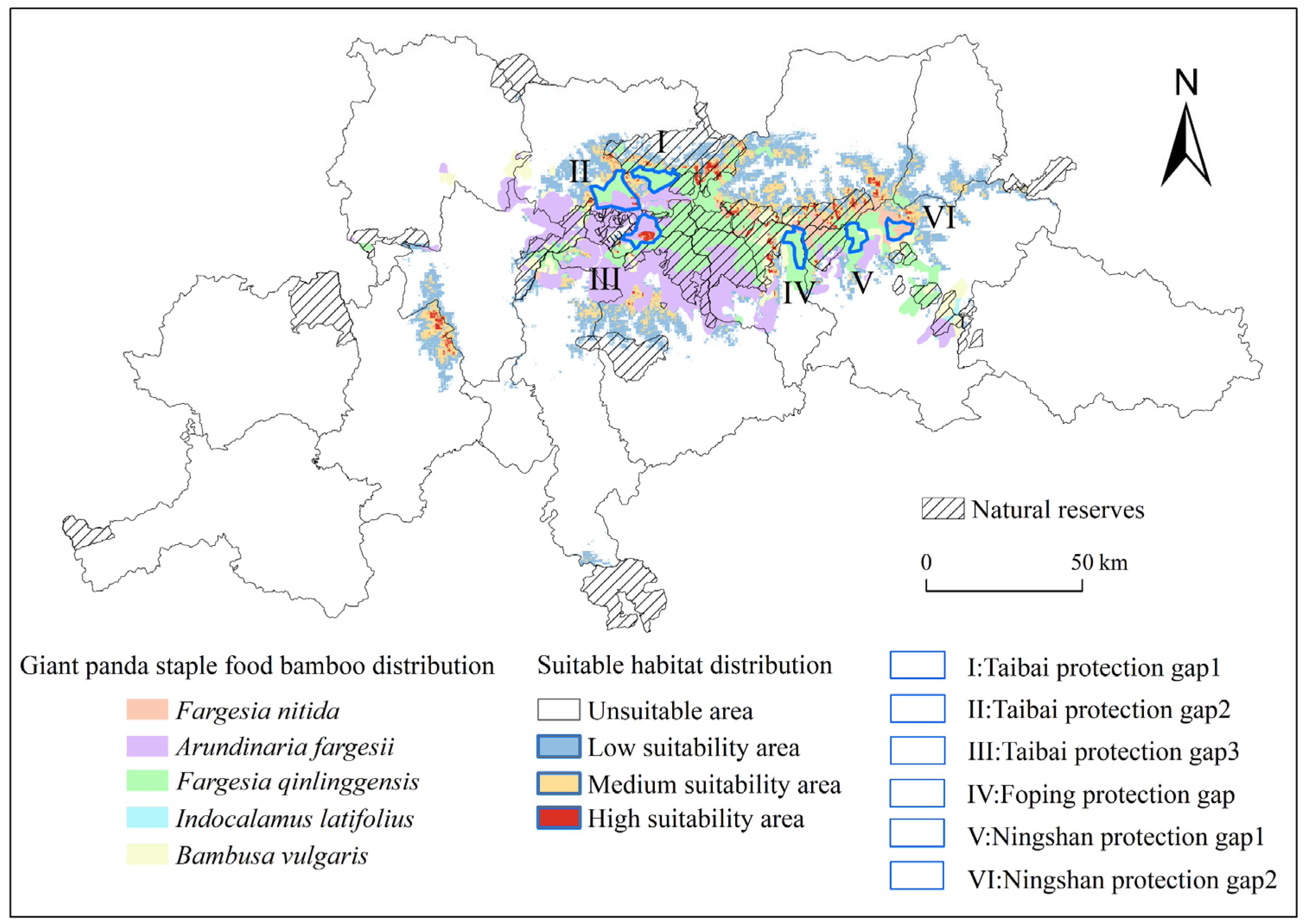 Diversity 16 00412 g007