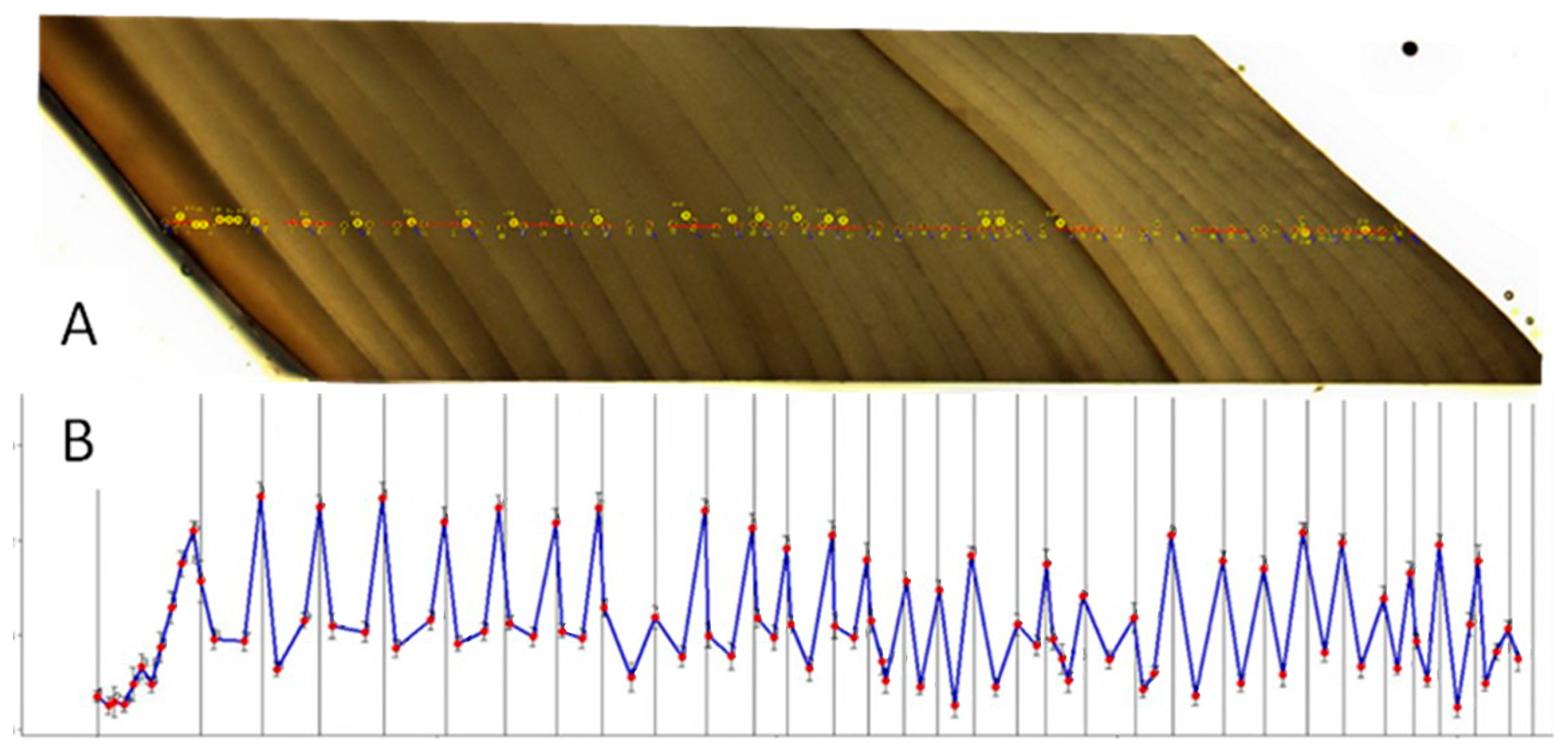 Diversity 16 00415 g002