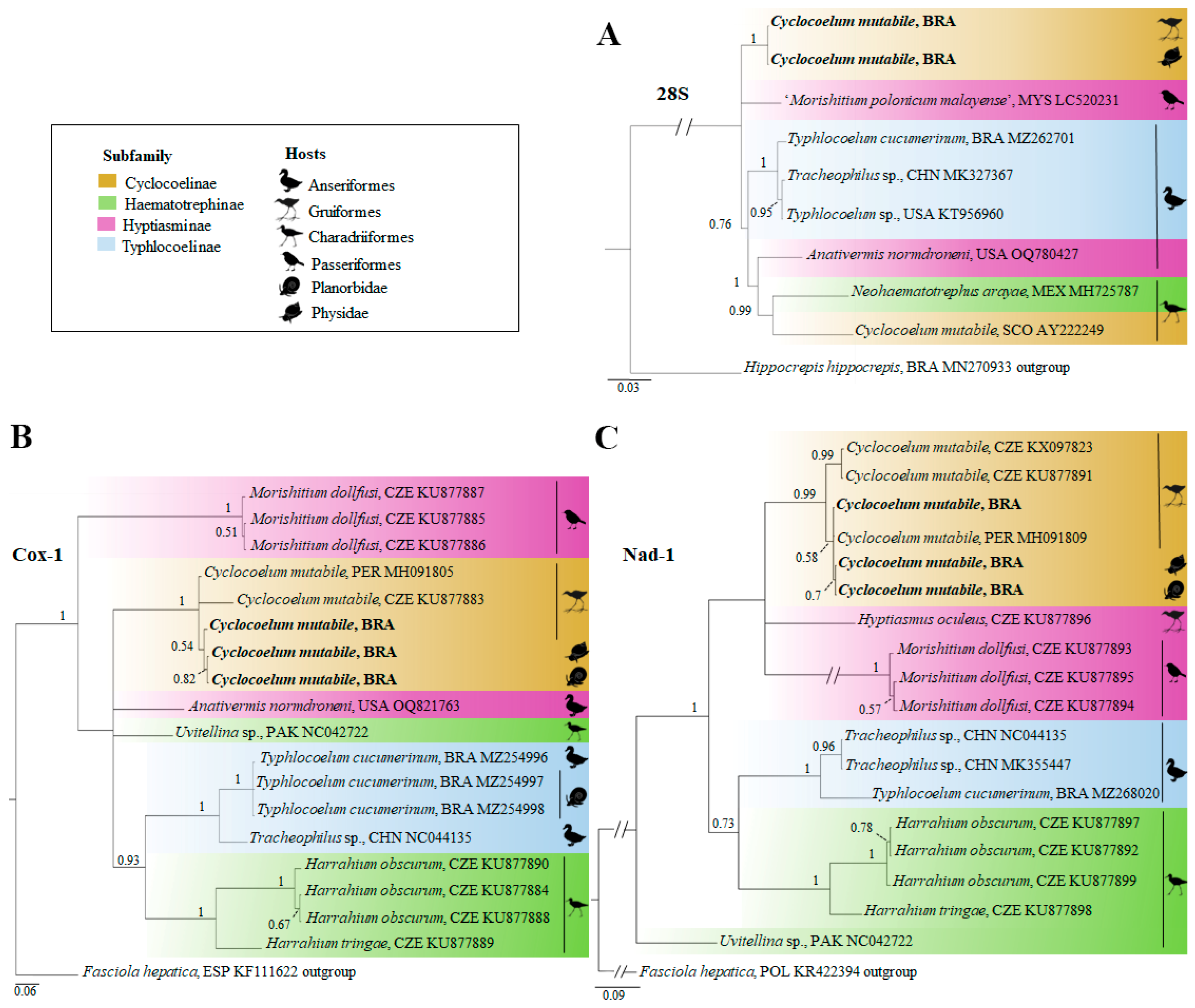 Diversity 16 00422 g004