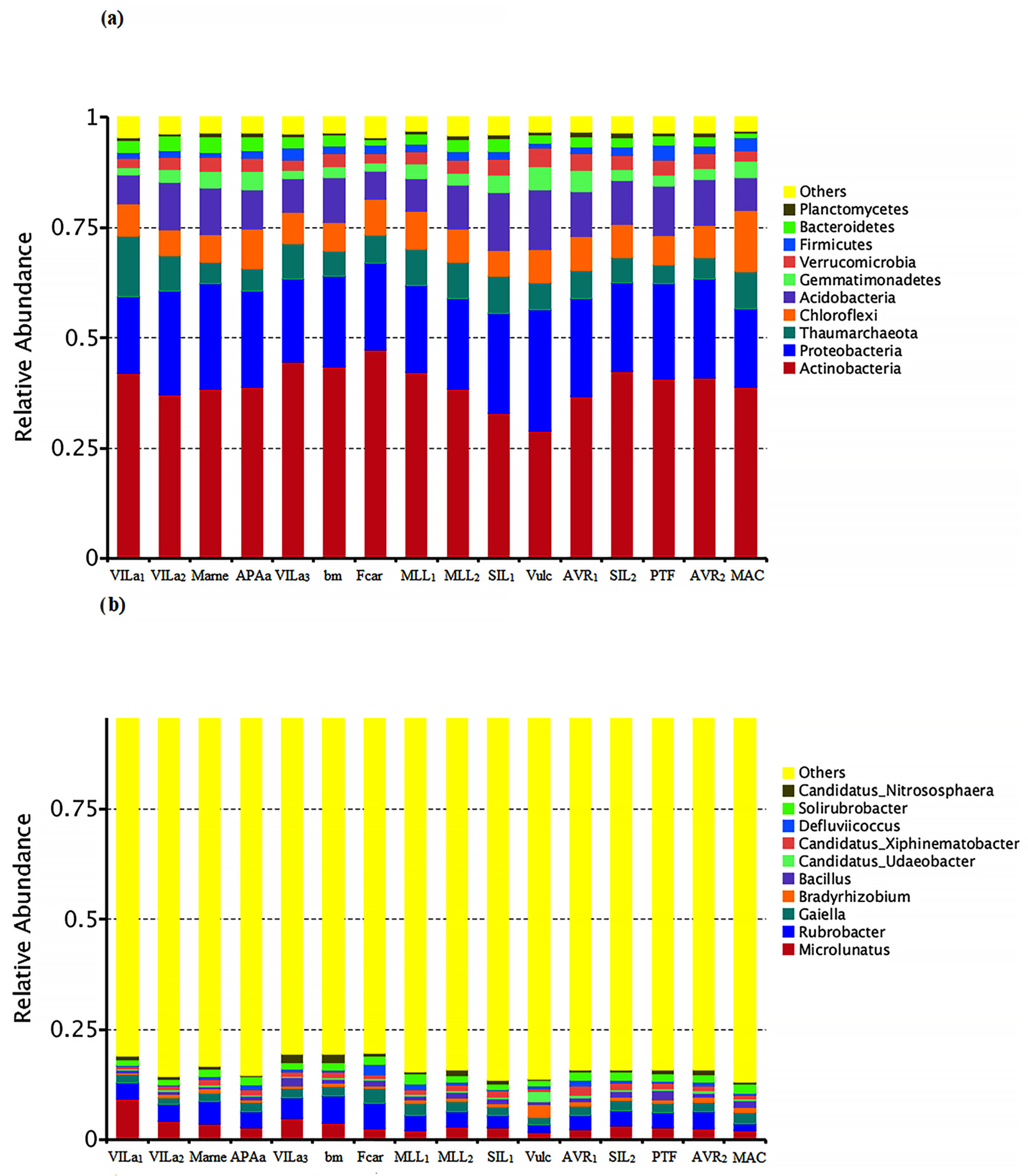 Diversity 16 00427 g003
