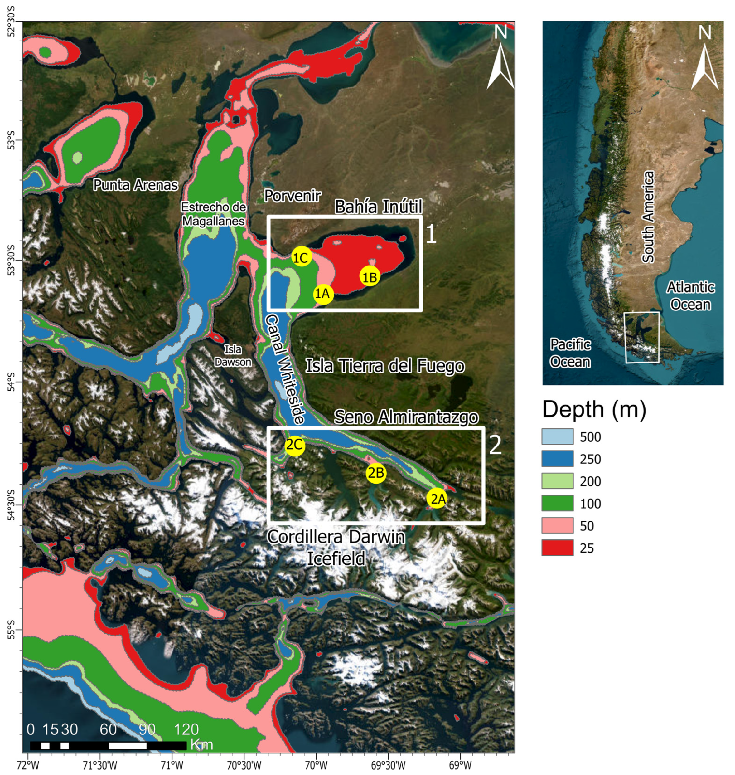 Diversity 16 00430 g001