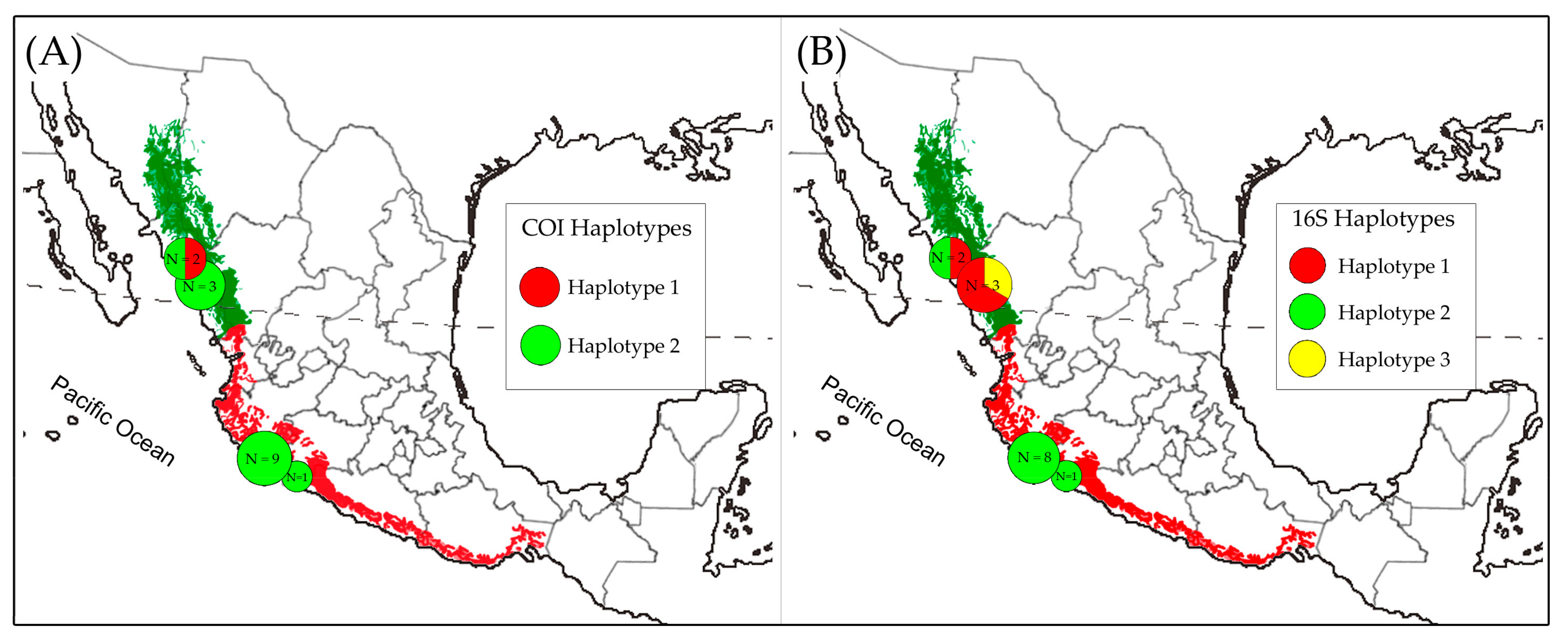 Diversity 16 00435 g003