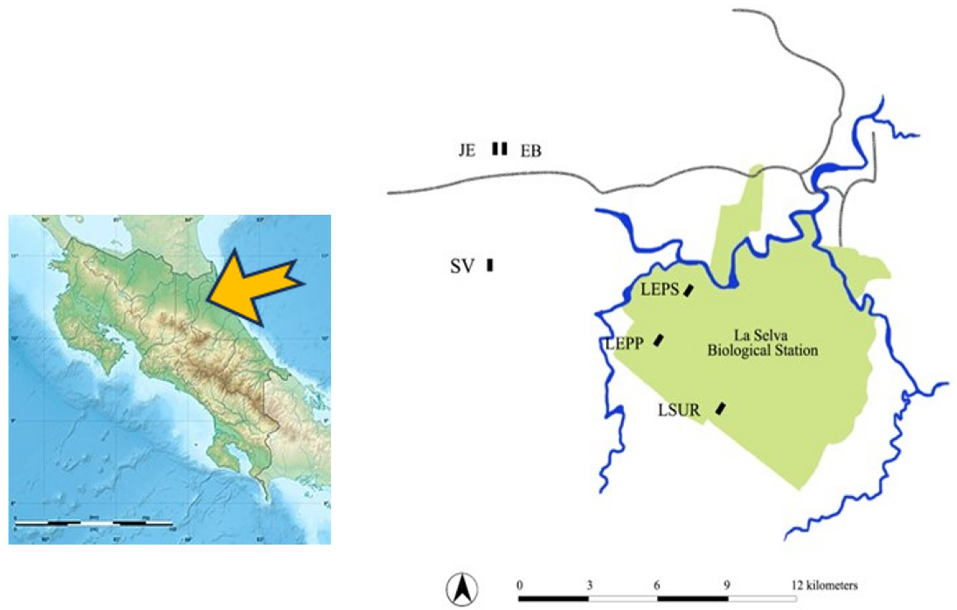 Diversity 16 00439 g001