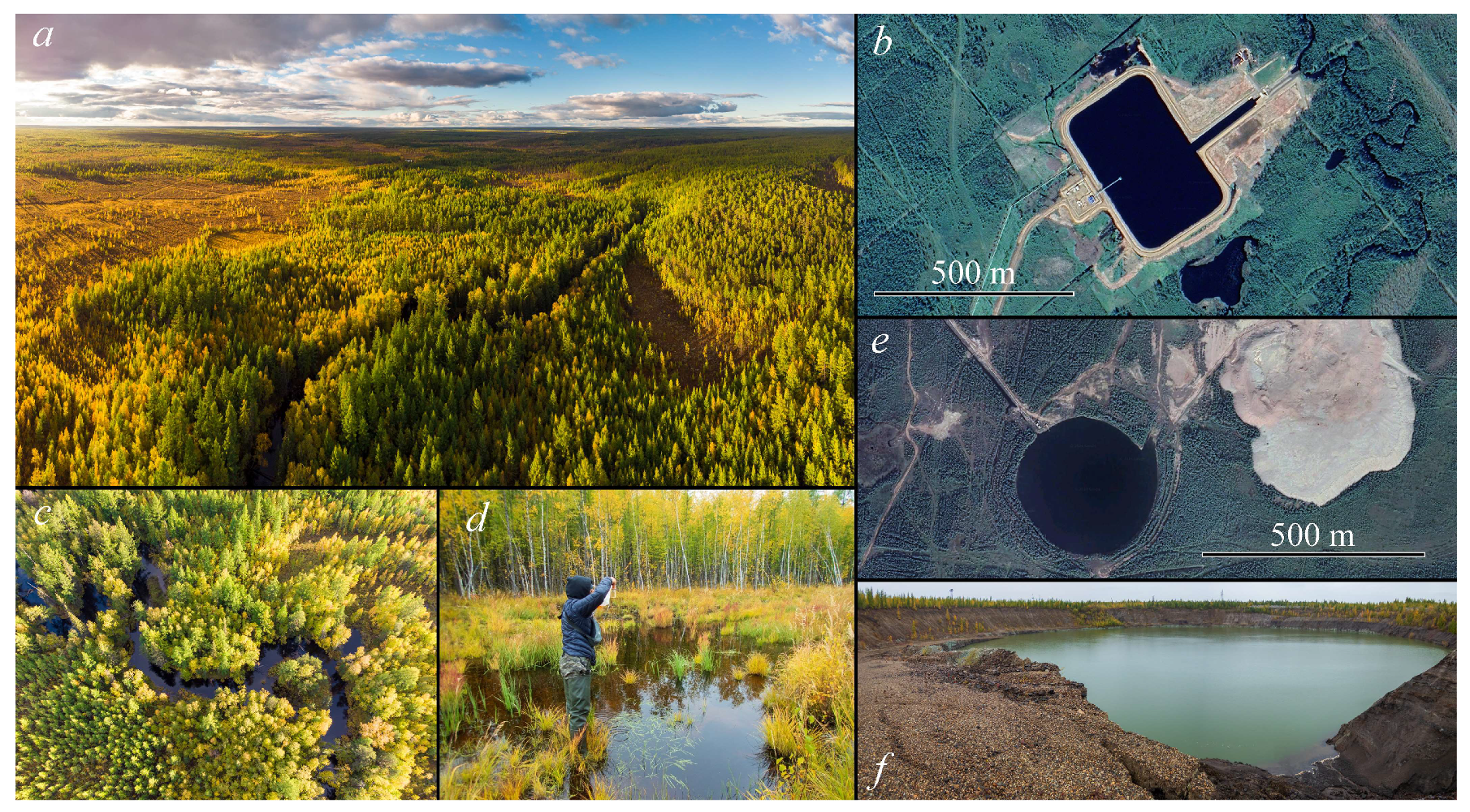 Diversity 16 00440 g002