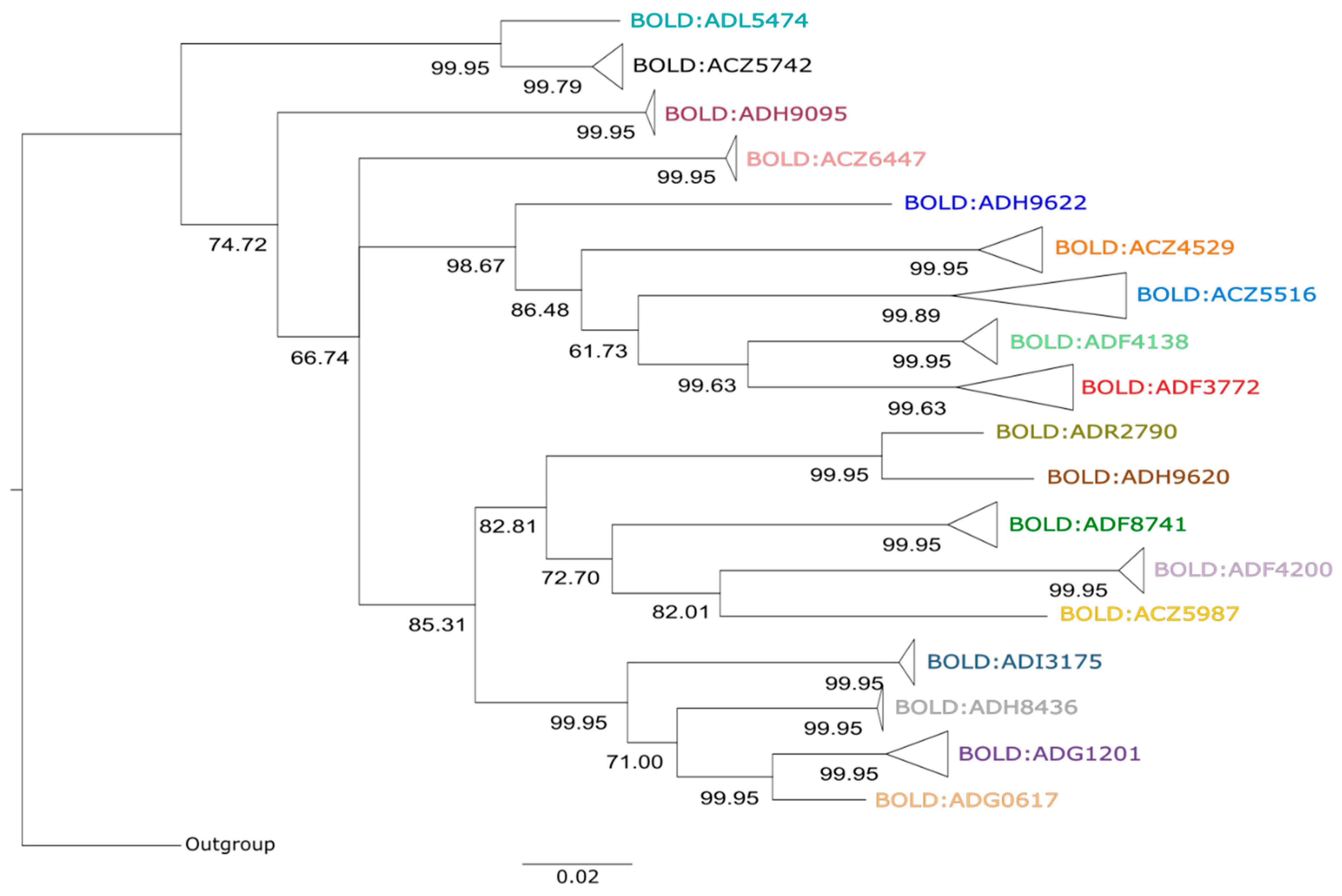 Diversity 16 00441 g002