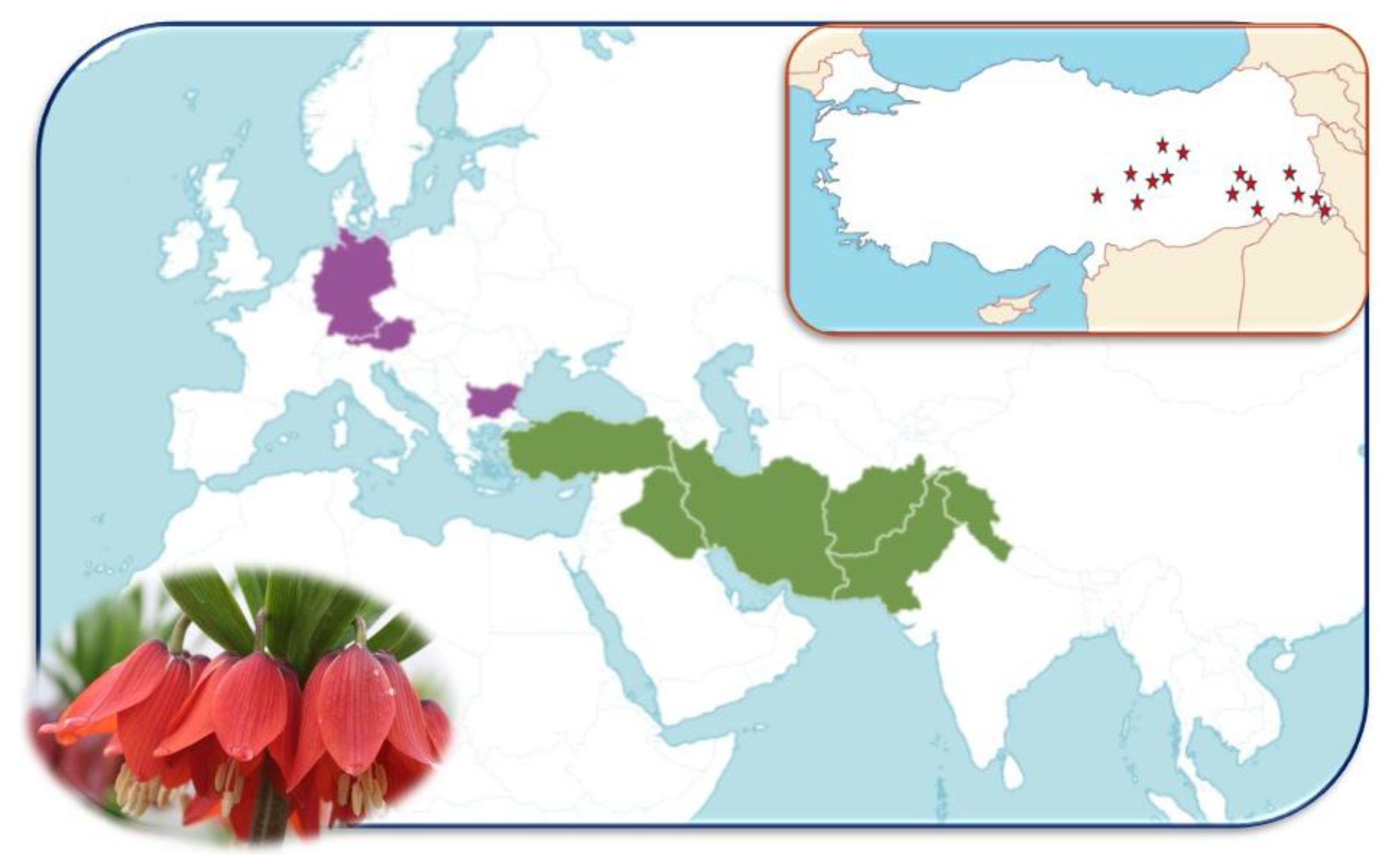 Diversity 16 00455 g001