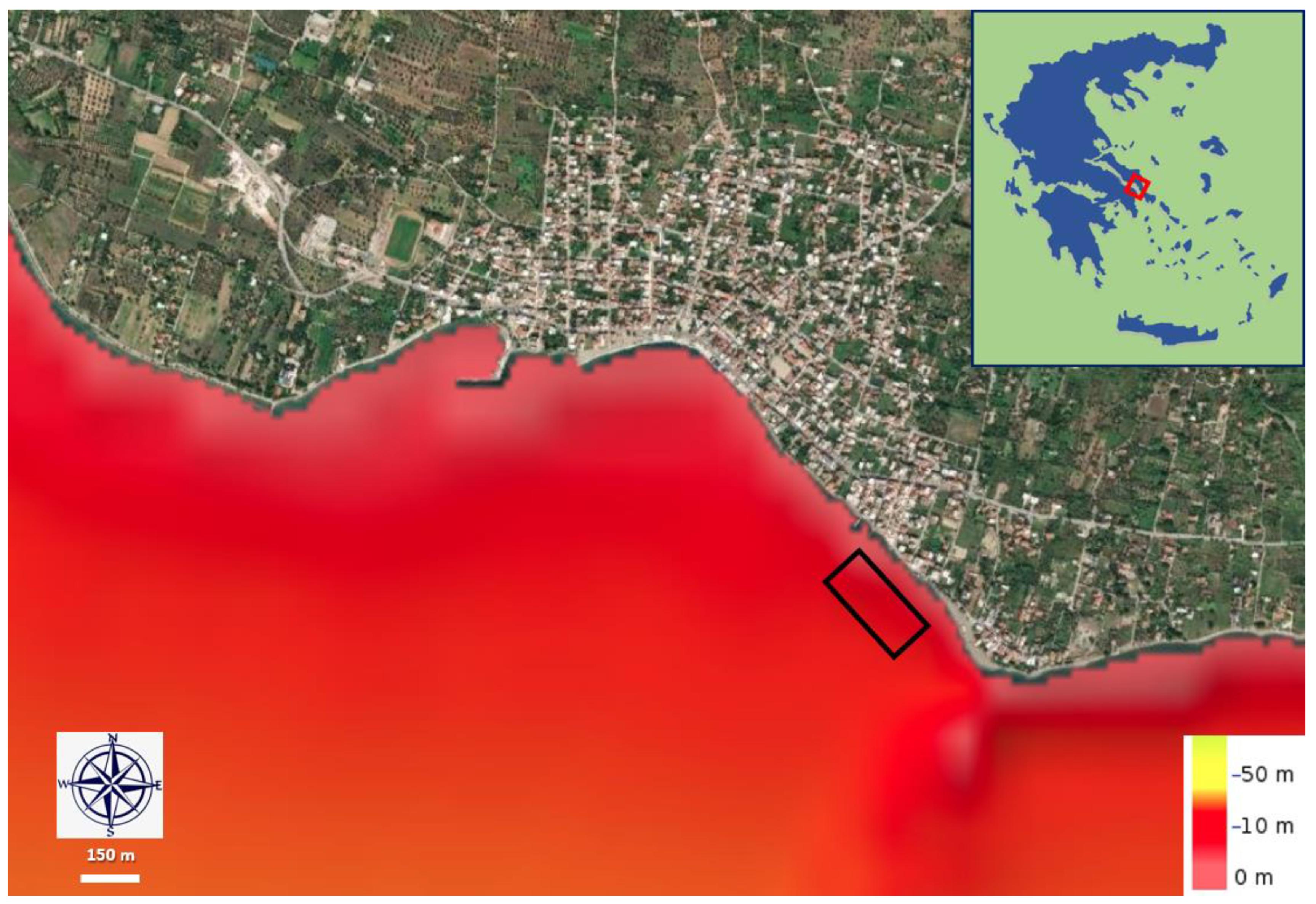 Diversity 16 00460 g001