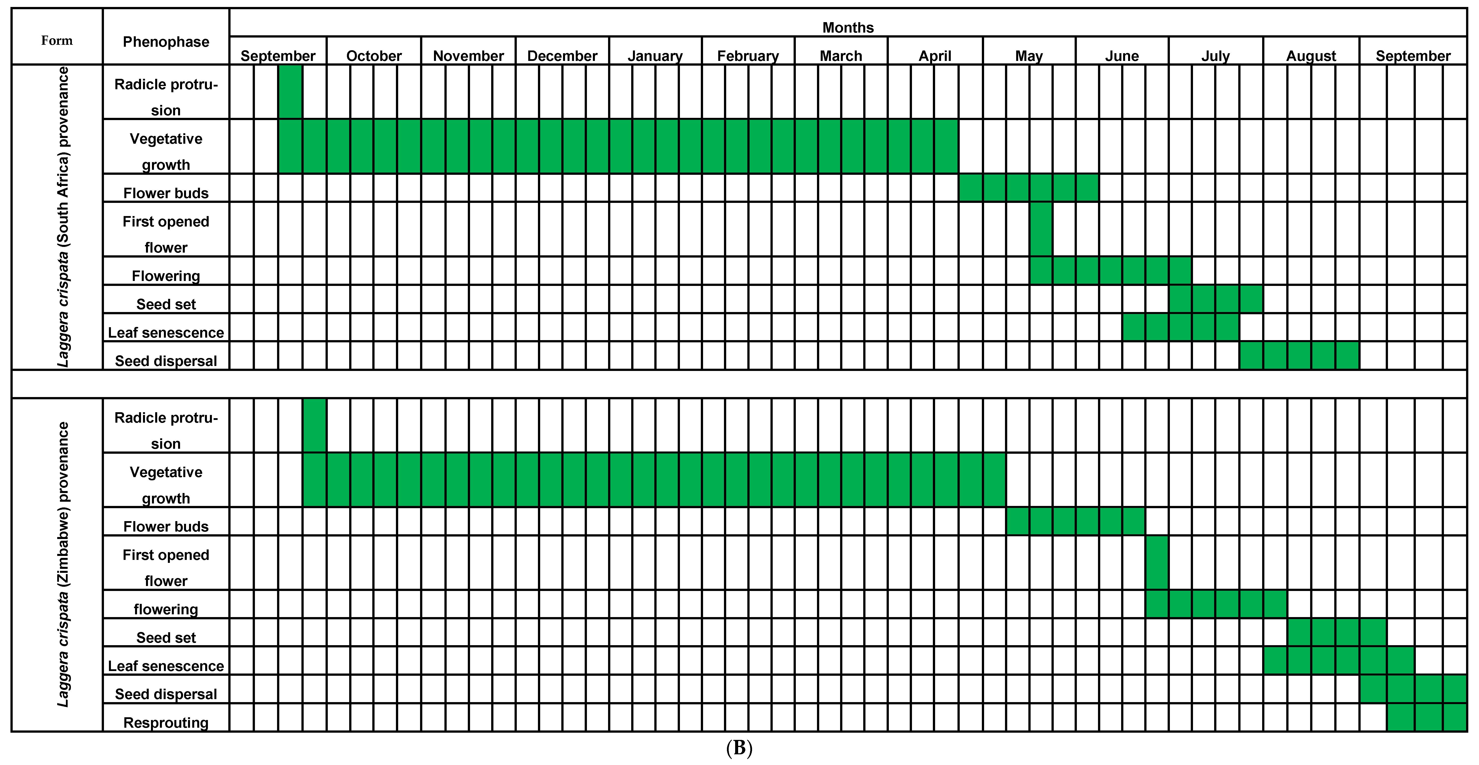 Diversity 16 00466 g001b