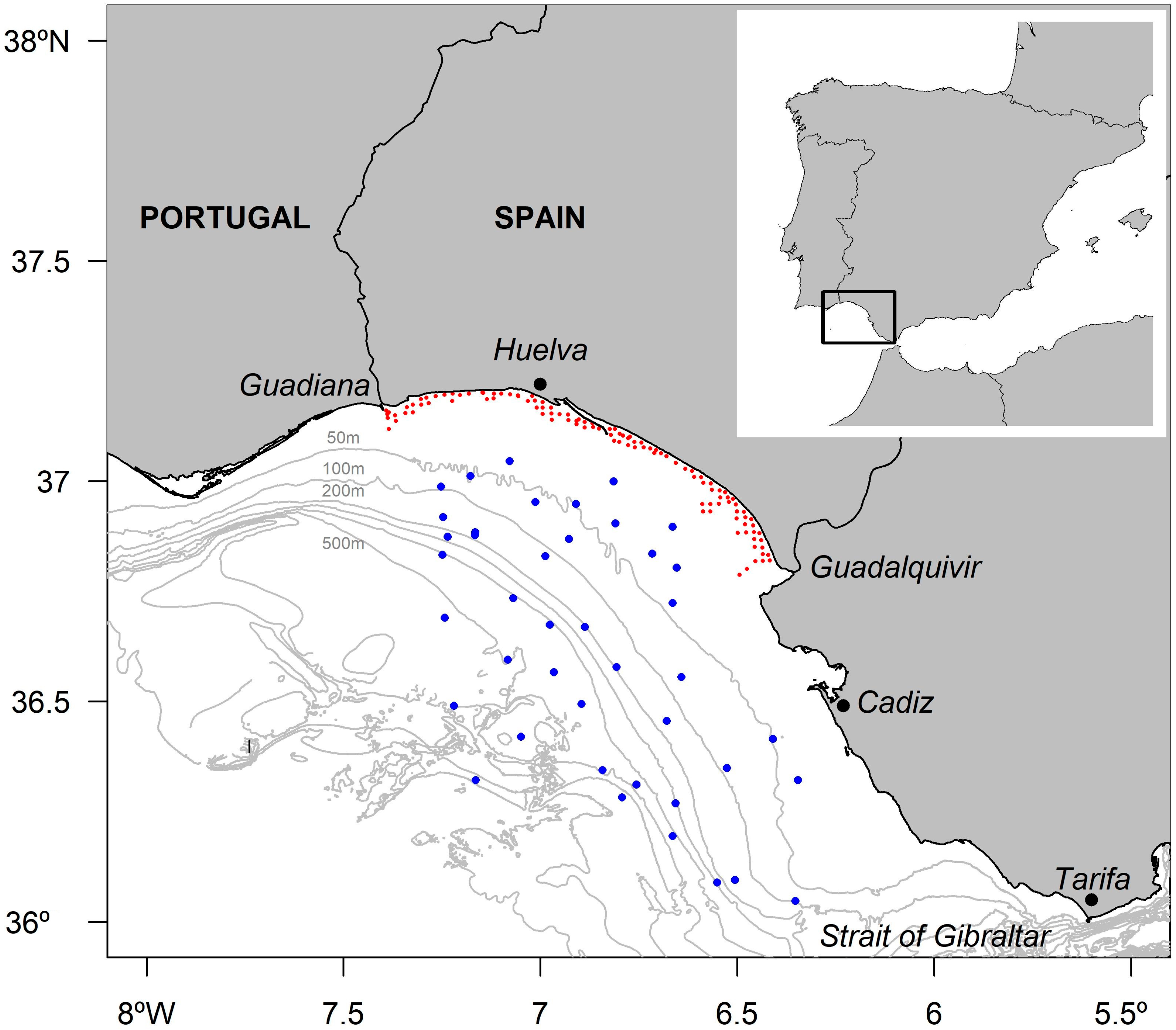 Diversity 16 00470 g001