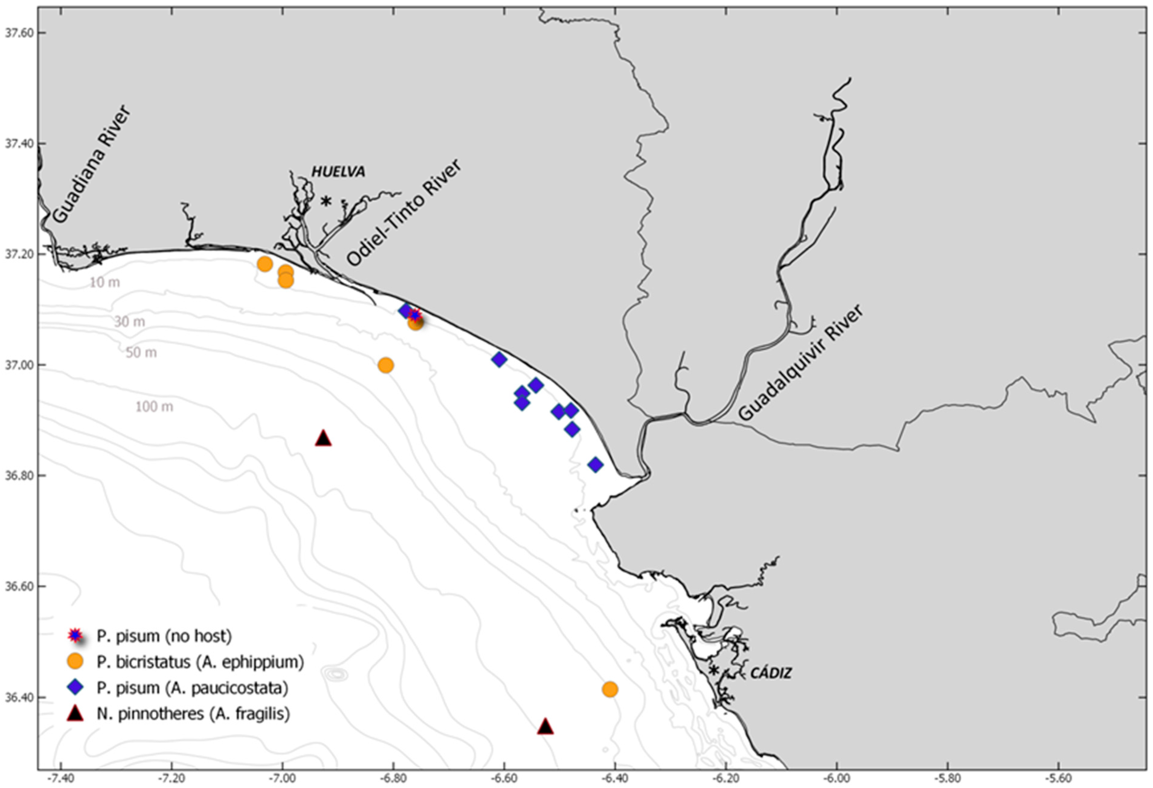 Diversity 16 00470 g002