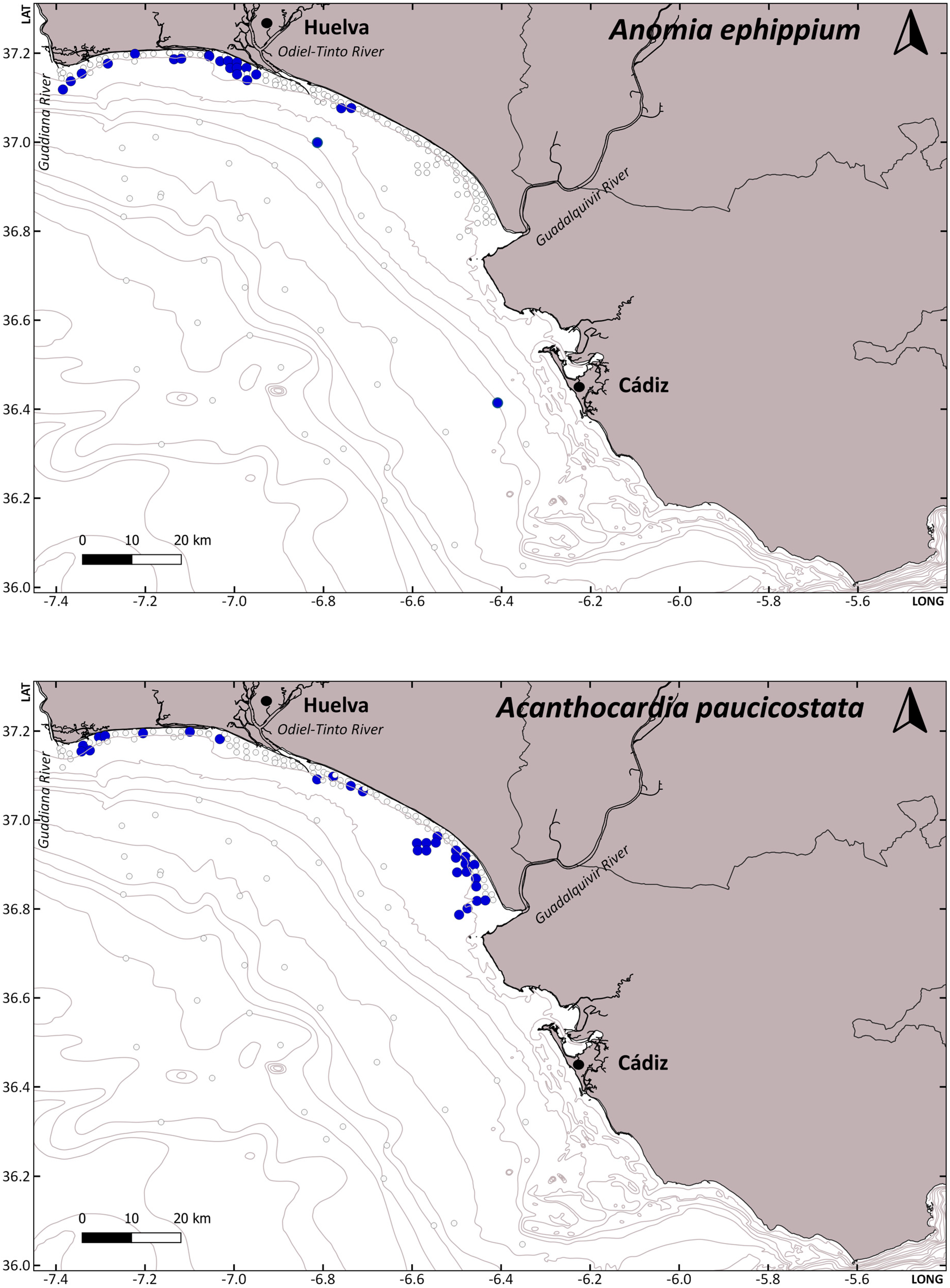 Diversity 16 00470 g003a