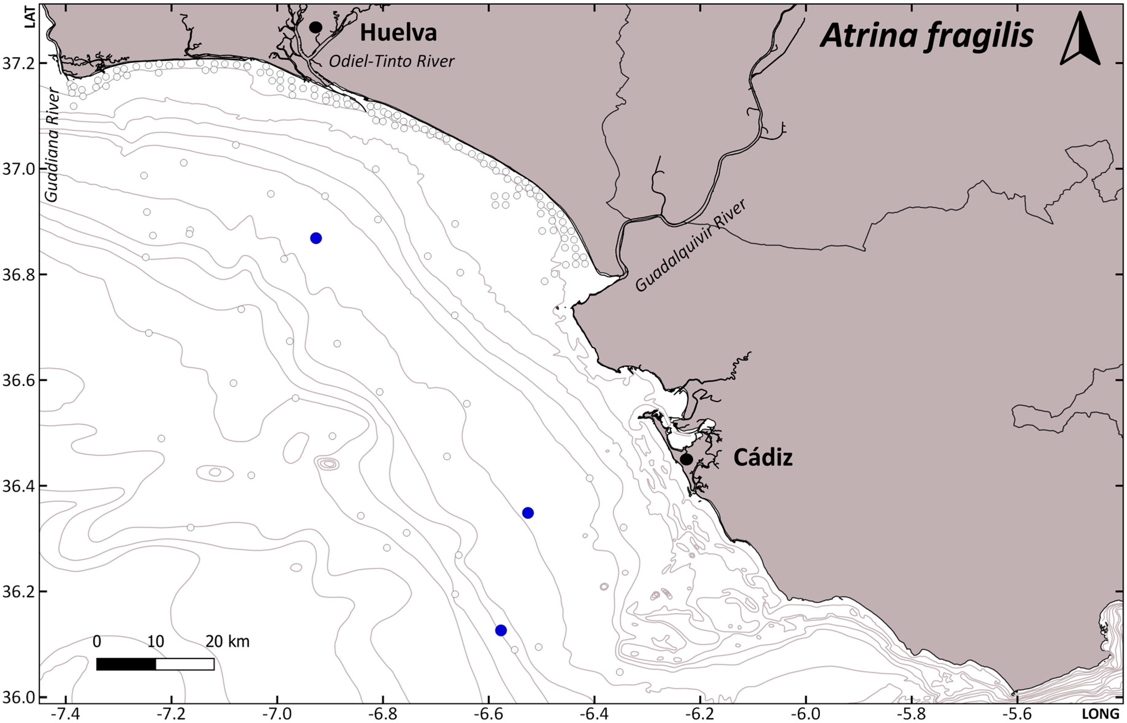 Diversity 16 00470 g003b