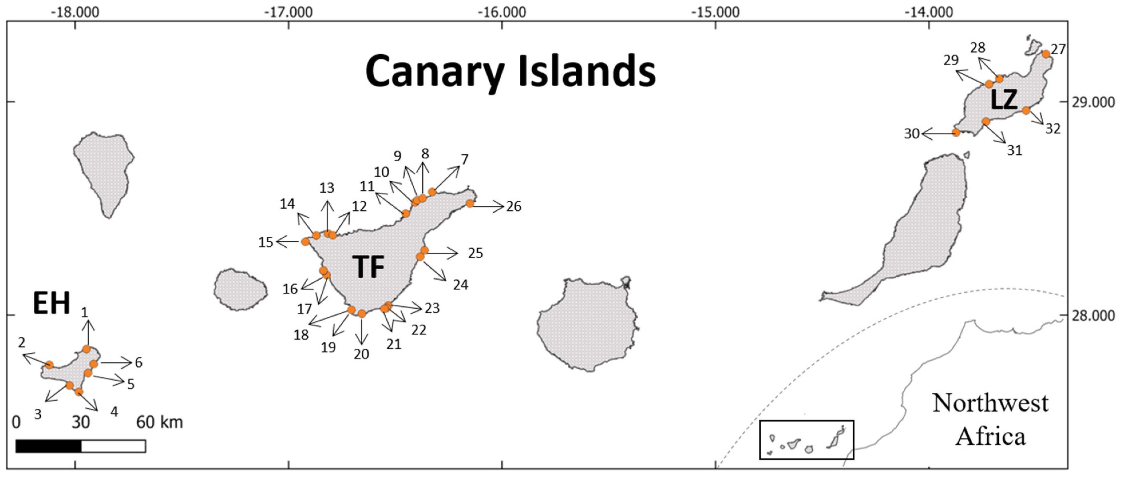 Diversity 16 00475 g001